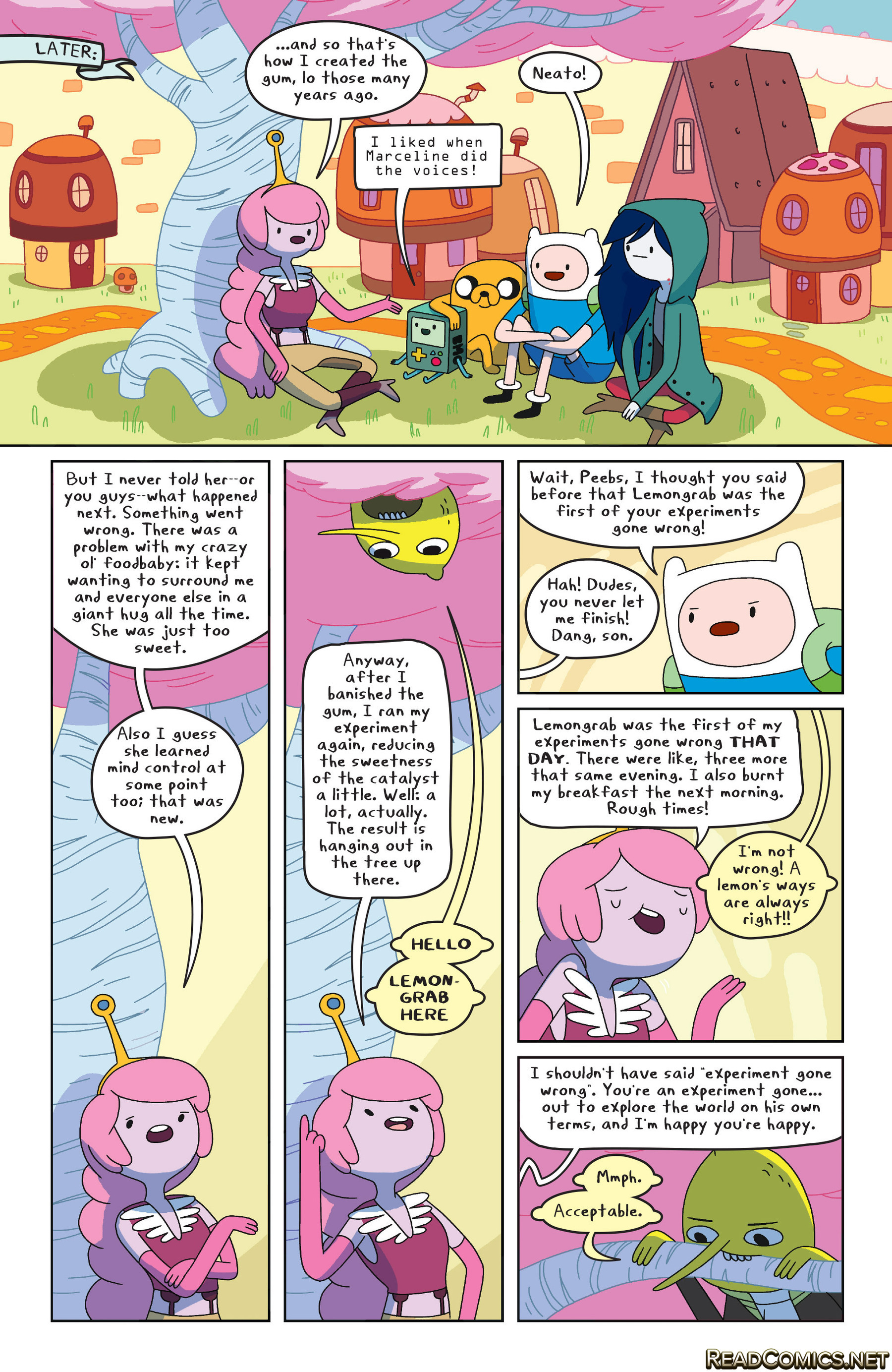 Adventure Time (2012-): Chapter 24 - Page 20