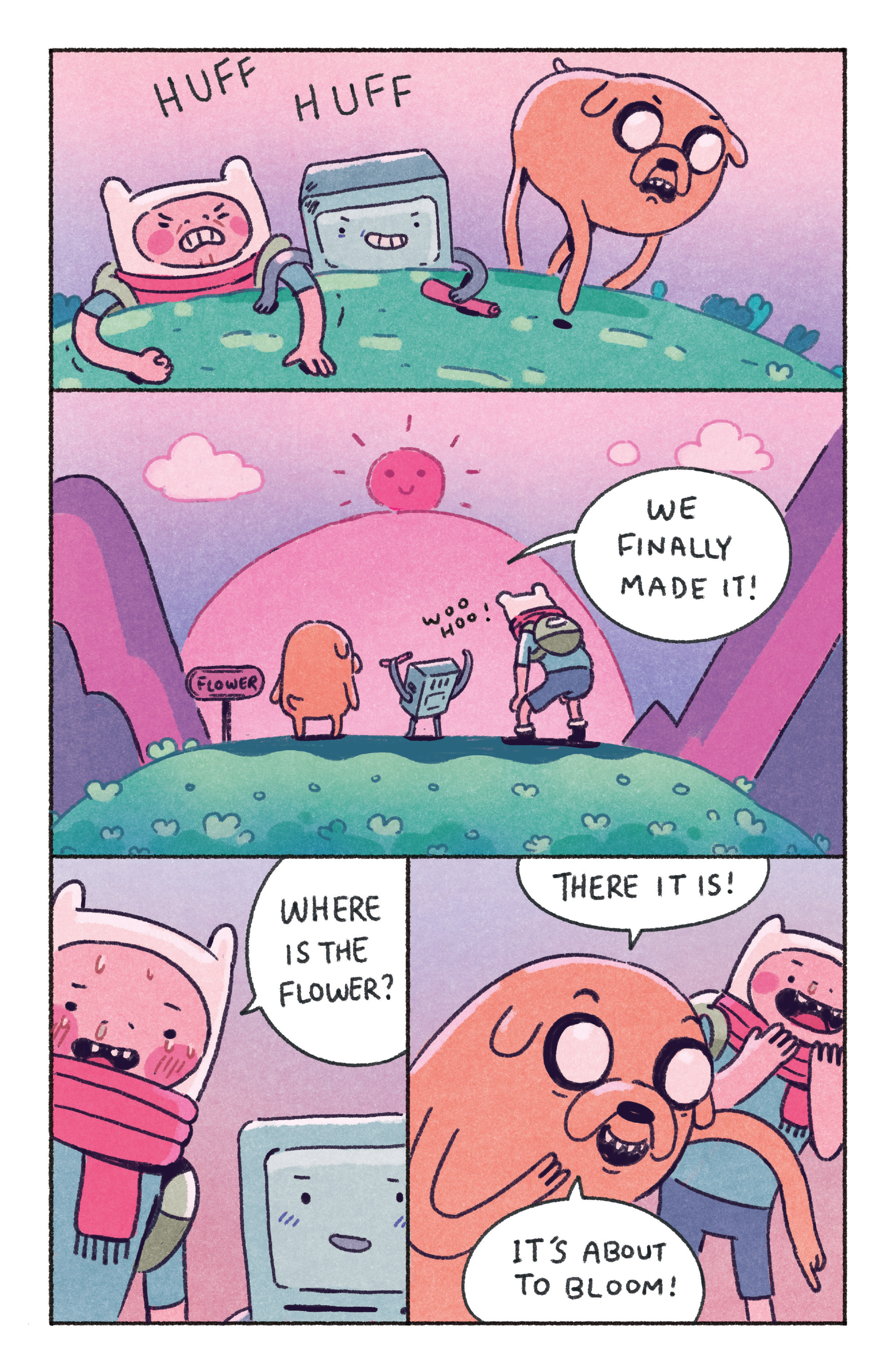 Adventure Time: BMO Bonanza (2018-): Chapter 1 - Page 17
