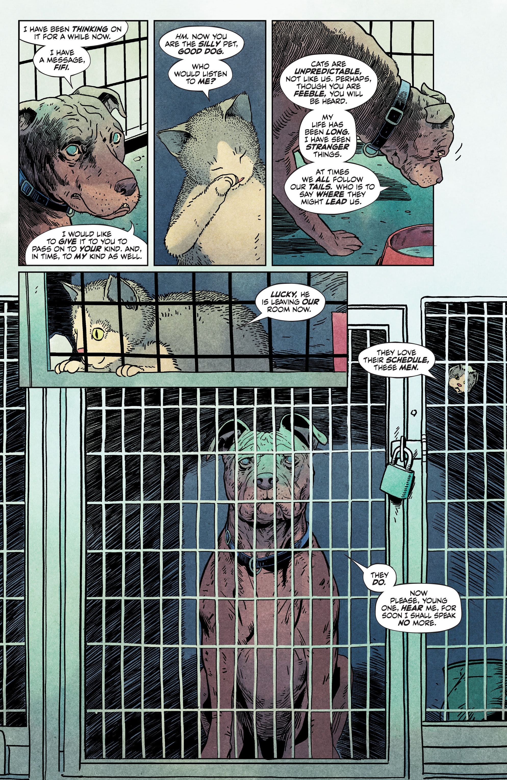 Animal Pound (2023-): Chapter 1 - Page 4