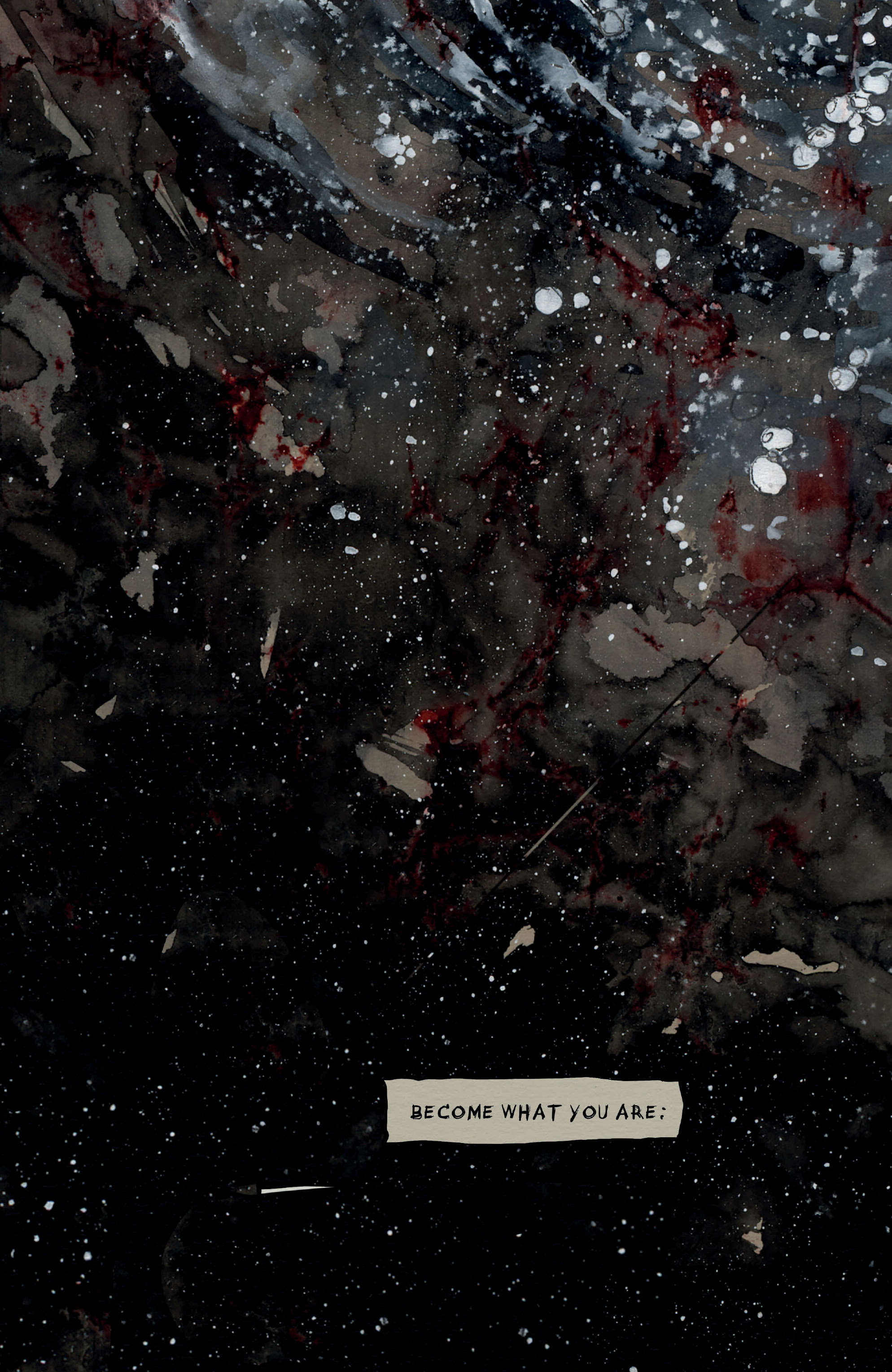 Bear Pirate Viking Queen (2024-): Chapter 1 - Page 8