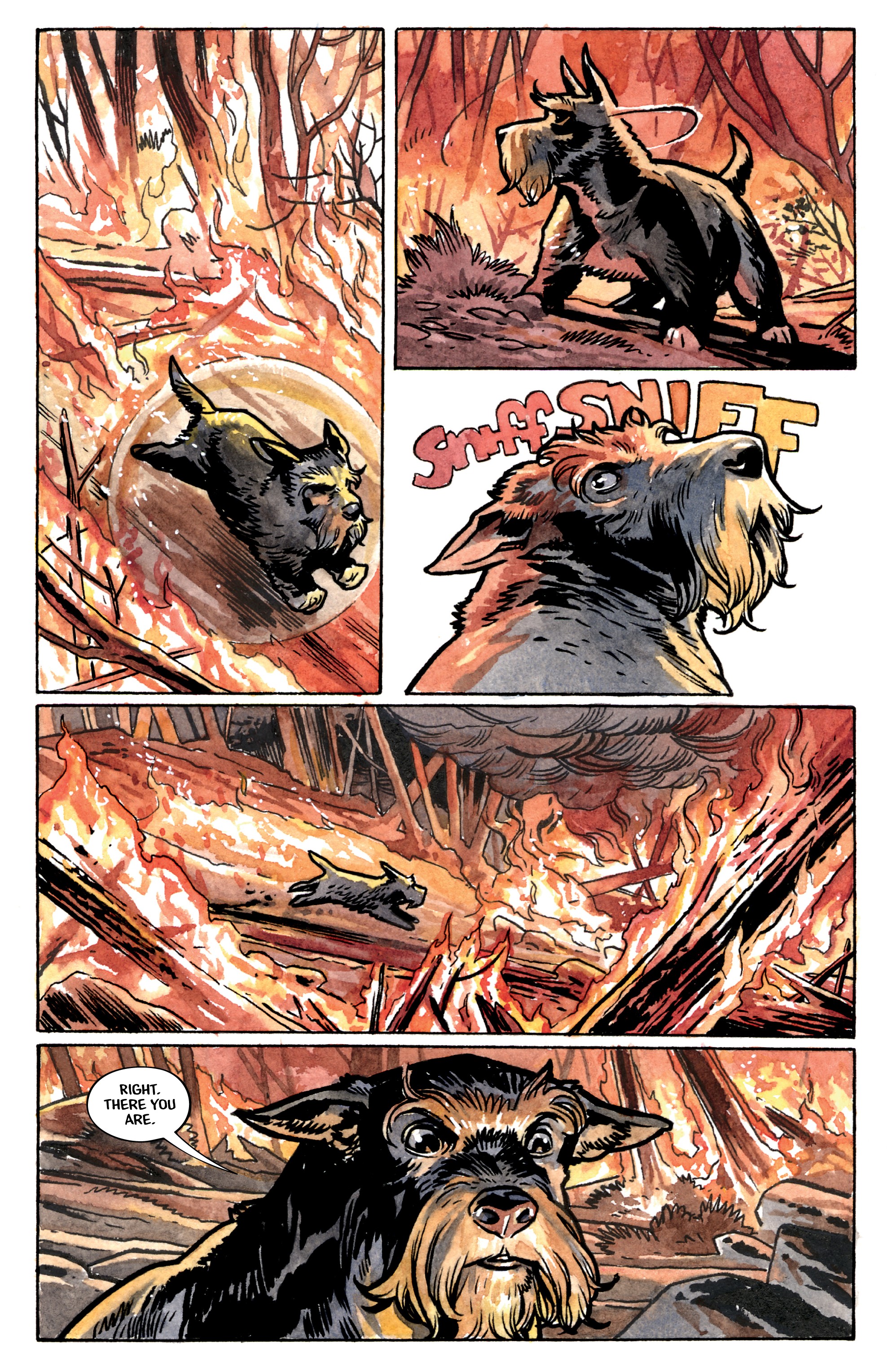 Beasts of Burden: Wise Dogs and Eldritch Men  (2018-): Chapter 1 - Page 6