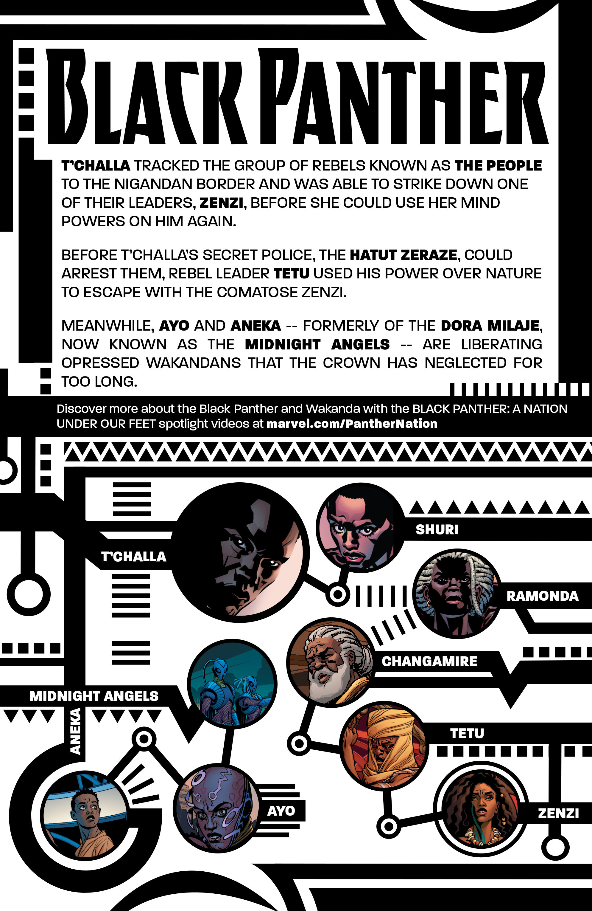 Black Panther (2016-): Chapter 4 - Page 4