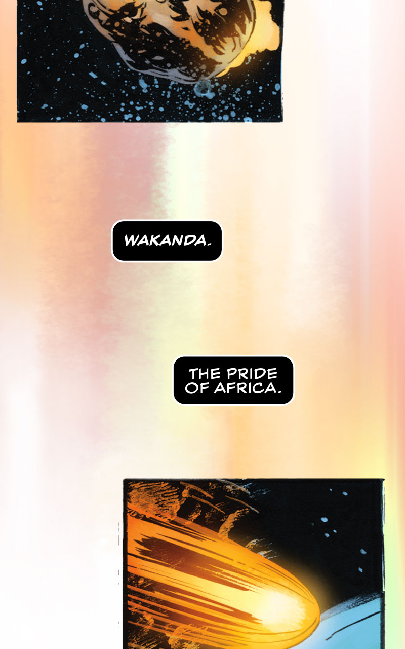 Black Panther Infinity Comic Primer (2021-): Chapter 1 - Page 3