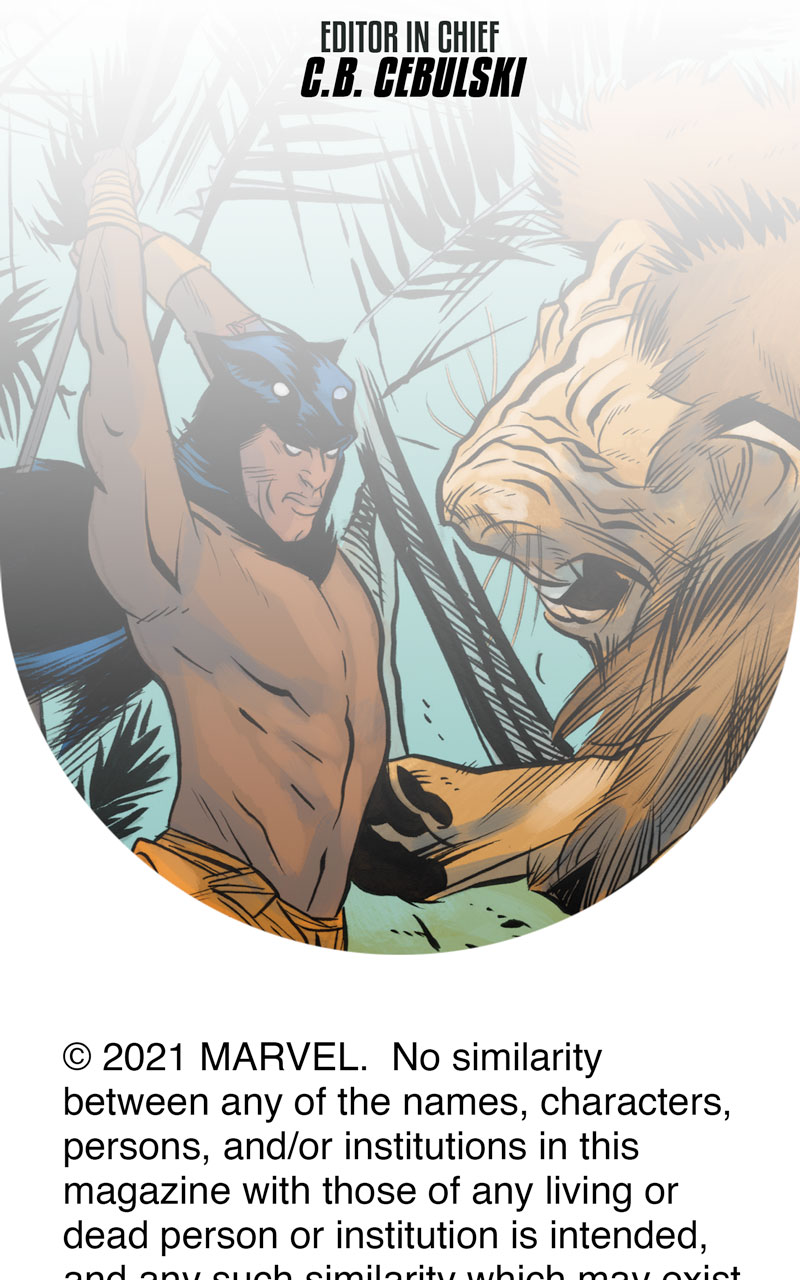 Black Panther Infinity Comic Primer (2021-): Chapter 1 - Page 21
