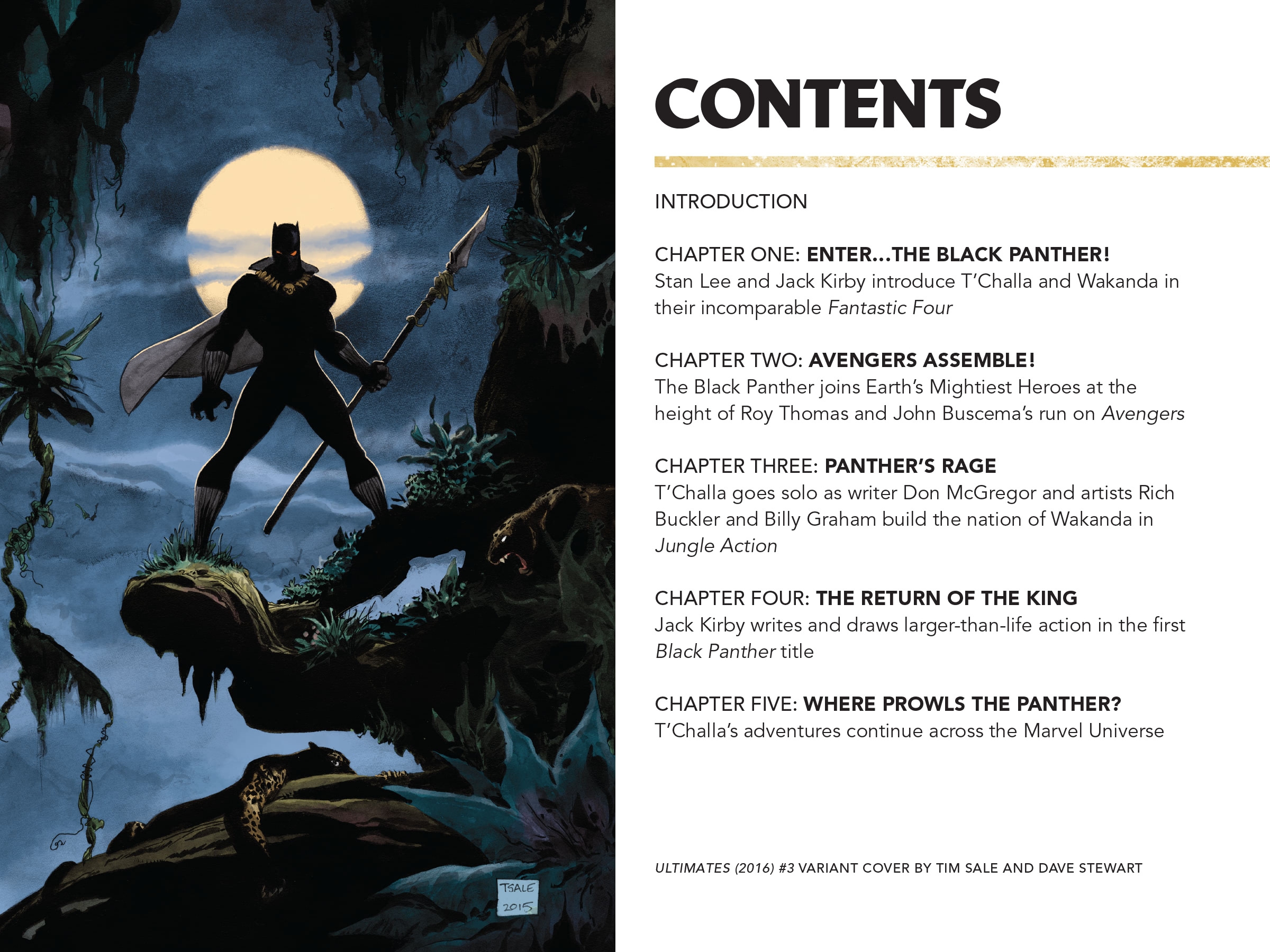 Black Panther: Visions Of Wakanda: Chapter 1 - Page 5