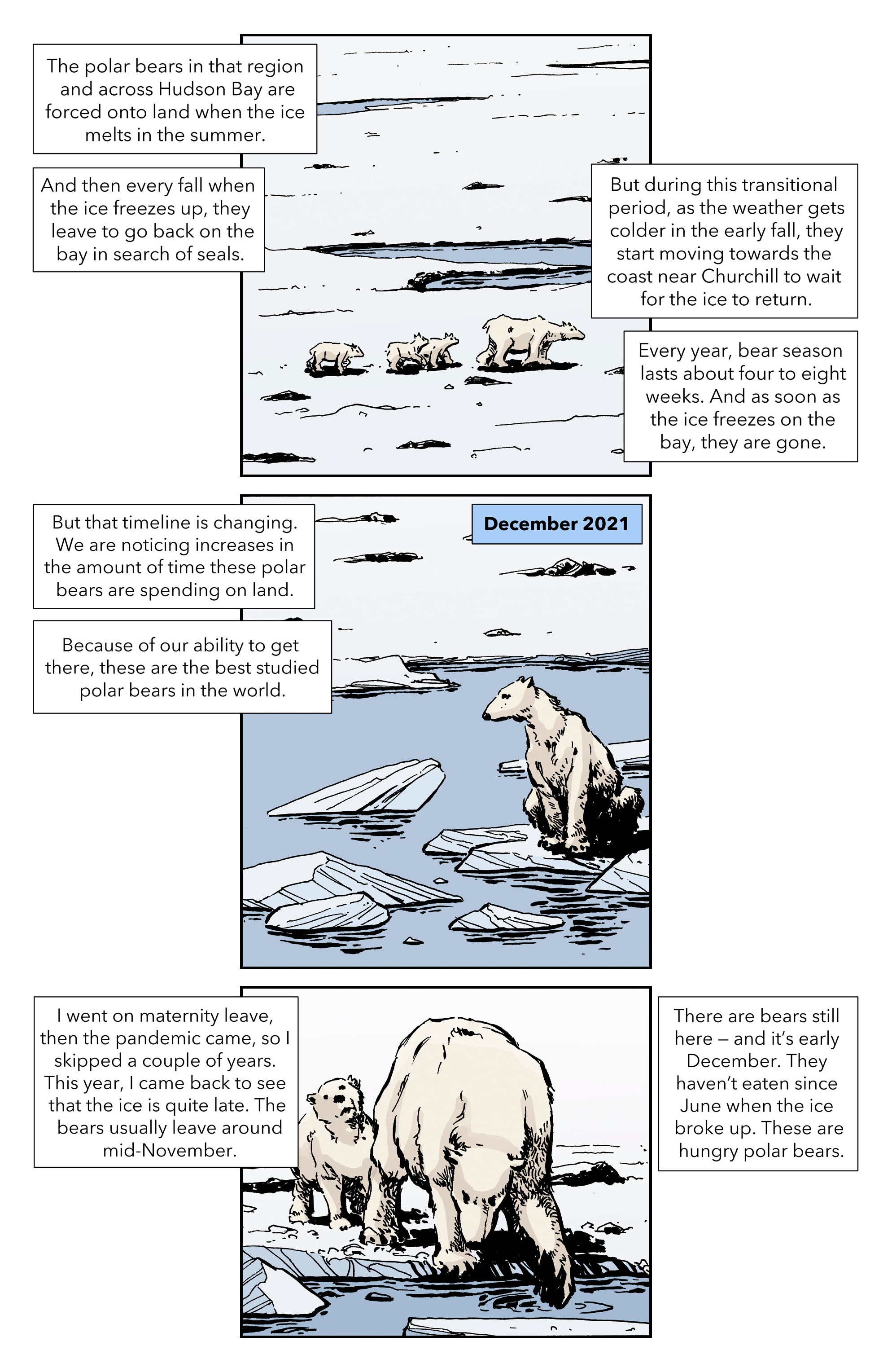 Climate Crisis Chronicles (2023): Chapter GN - Page 21