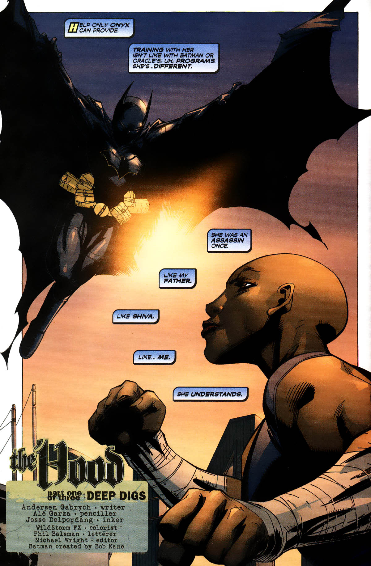 Countdown to Infinite Crisis Omnibus (2003-): Chapter CtIC-52 - Page 3