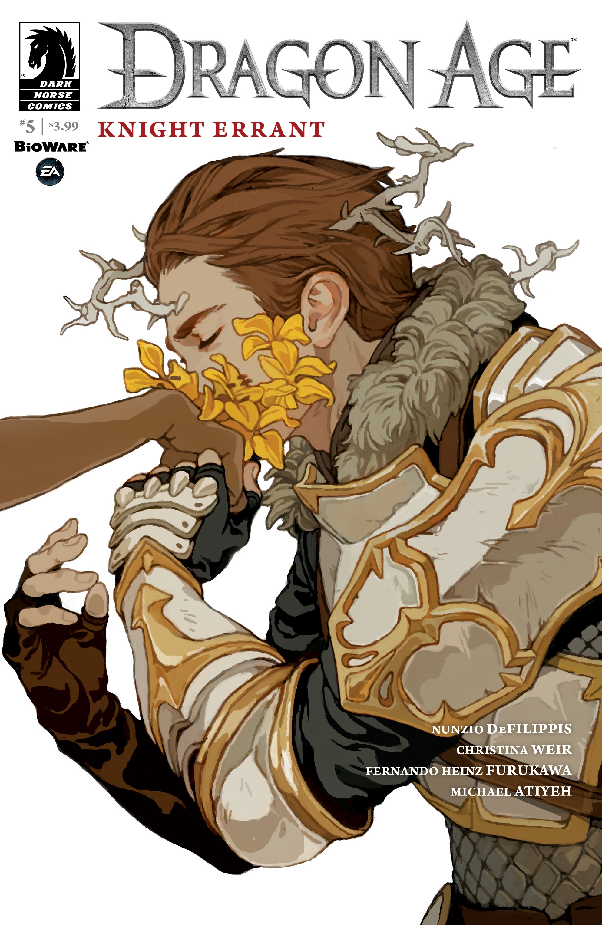Dragon Age: Knight Errant (2017): Chapter 5 - Page 1