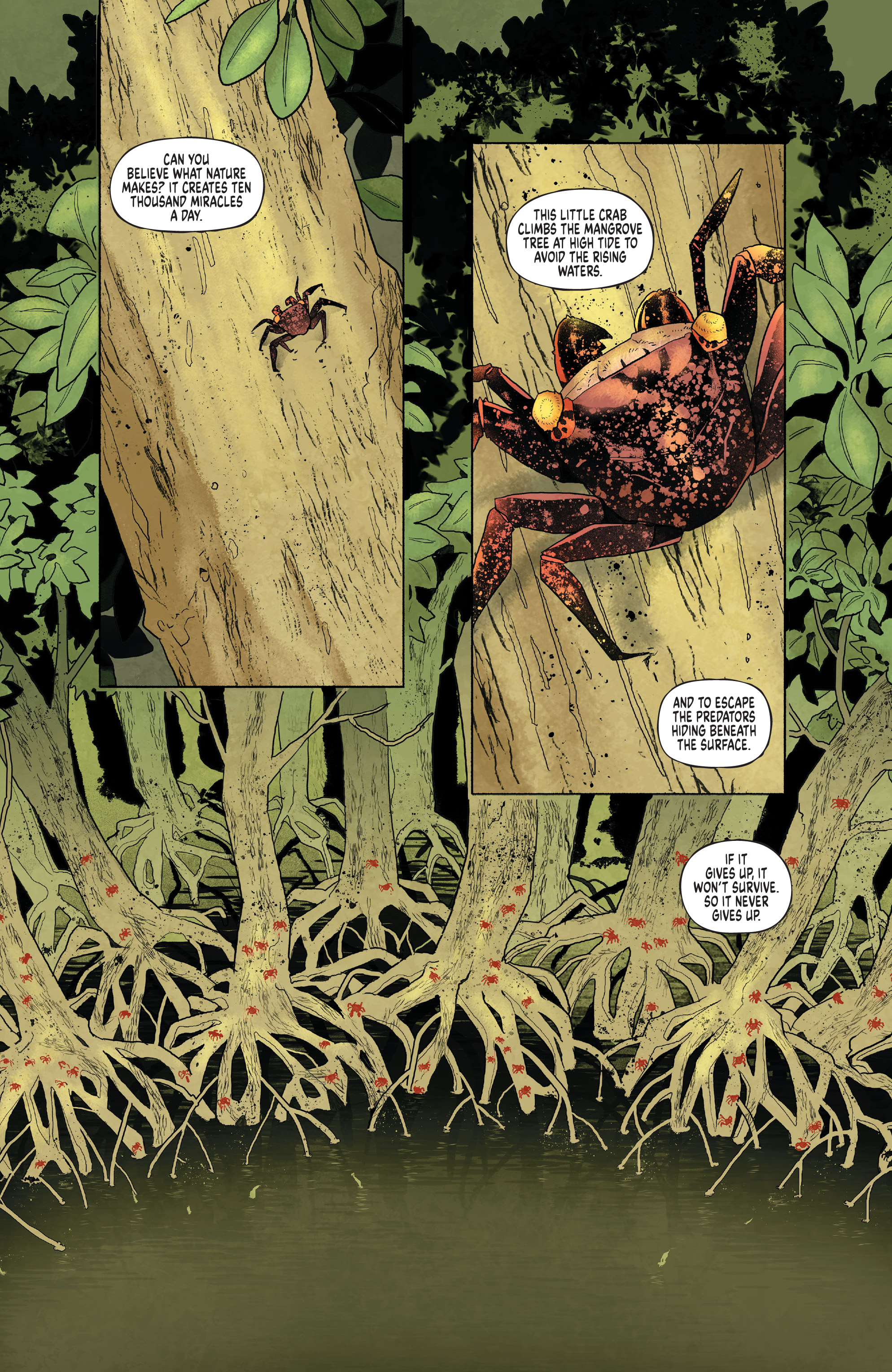 Eve (2021-): Chapter 1 - Page 3