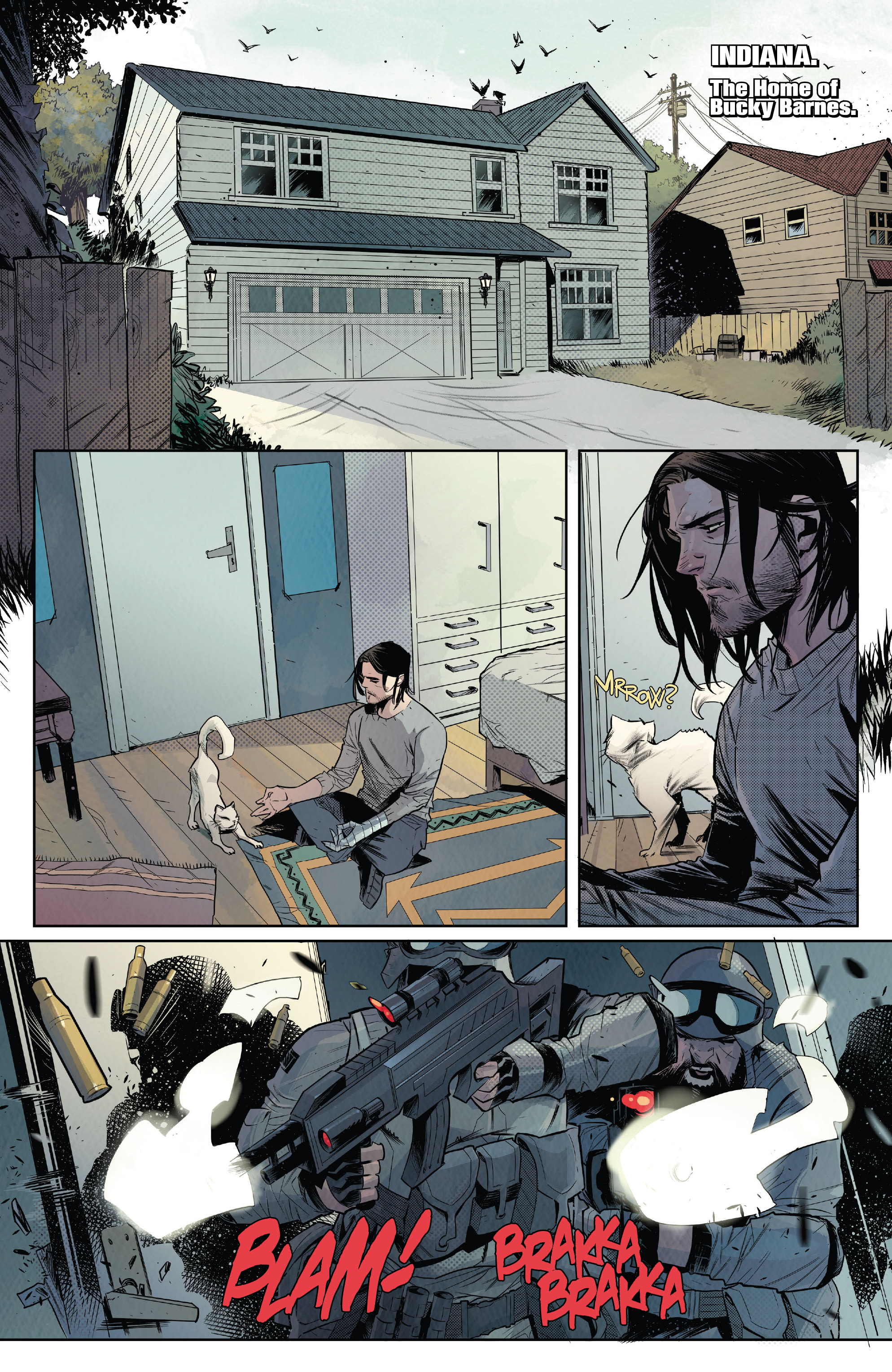 Falcon & Winter Soldier (2020): Chapter 1 - Page 2