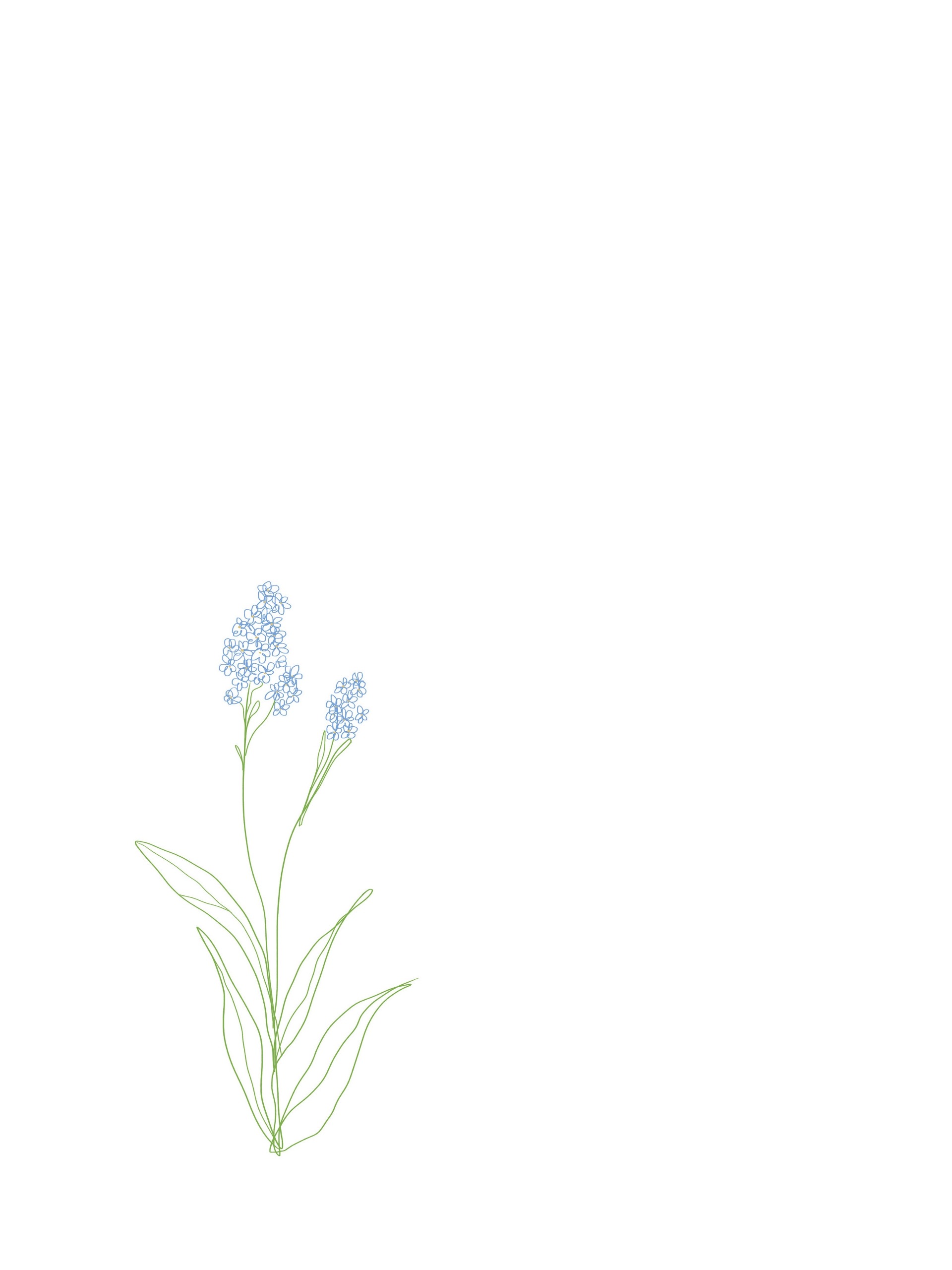 Forget Me Not (2021-): Chapter 1 - Page 4