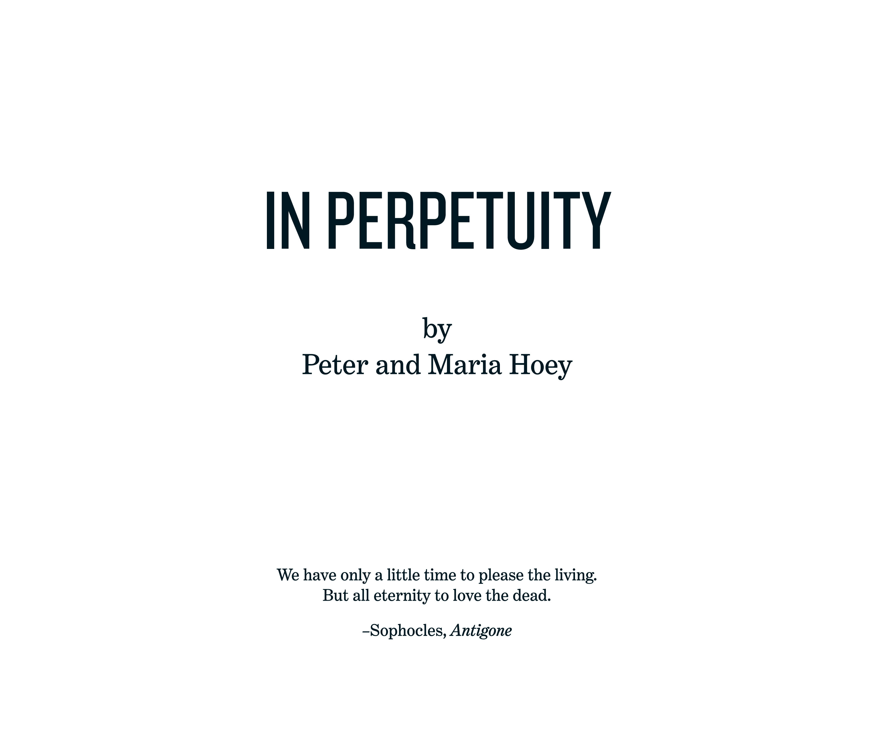 In Perpetuity (2024-): Chapter 1 - Page 3