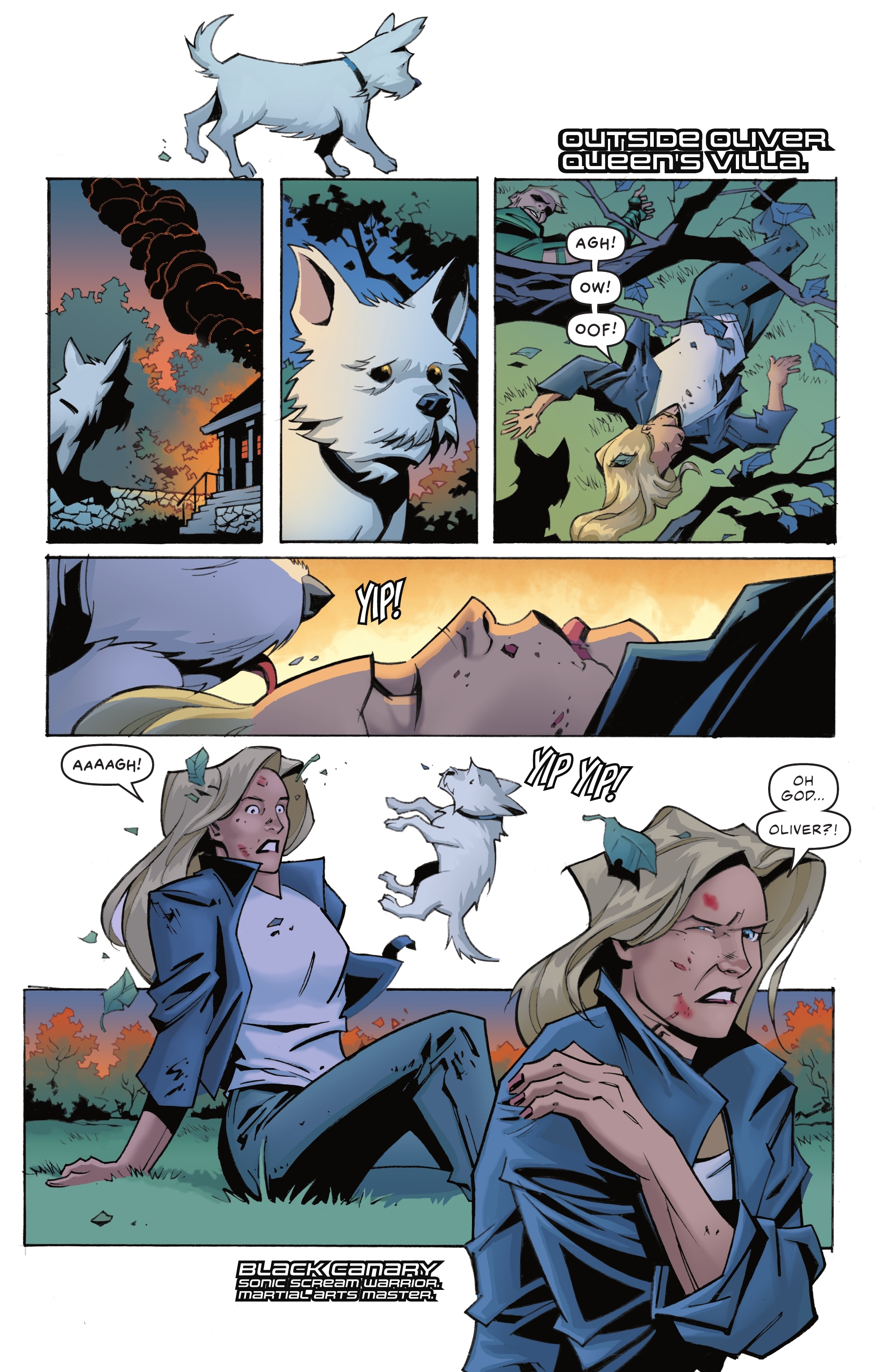 Justice League (2018-): Chapter 66 - Page 6