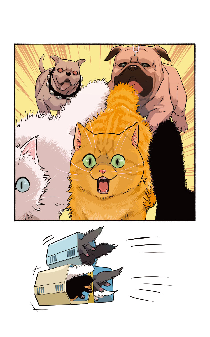 Marvel Meow Infinity Comic (2022): Chapter 4 - Page 7