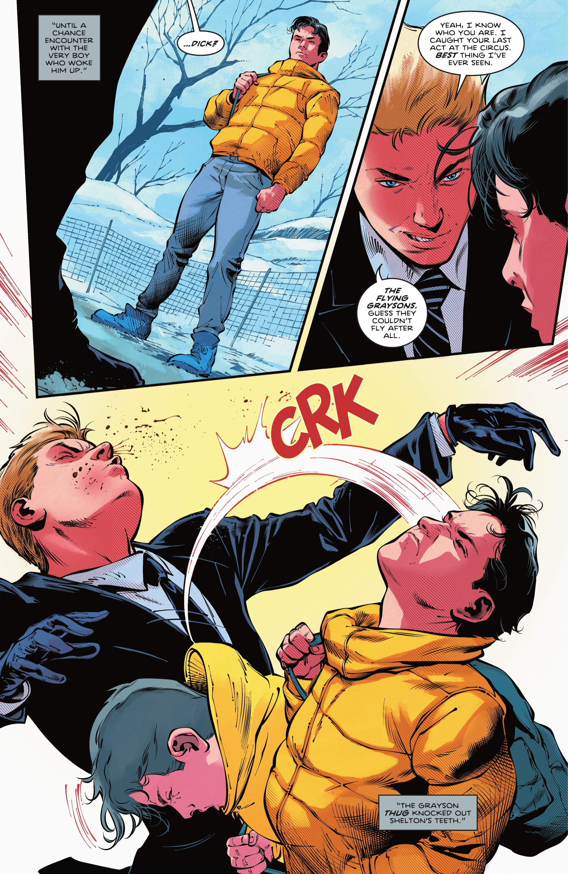 Nightwing (2016-): Chapter Annual2022 - Page 14