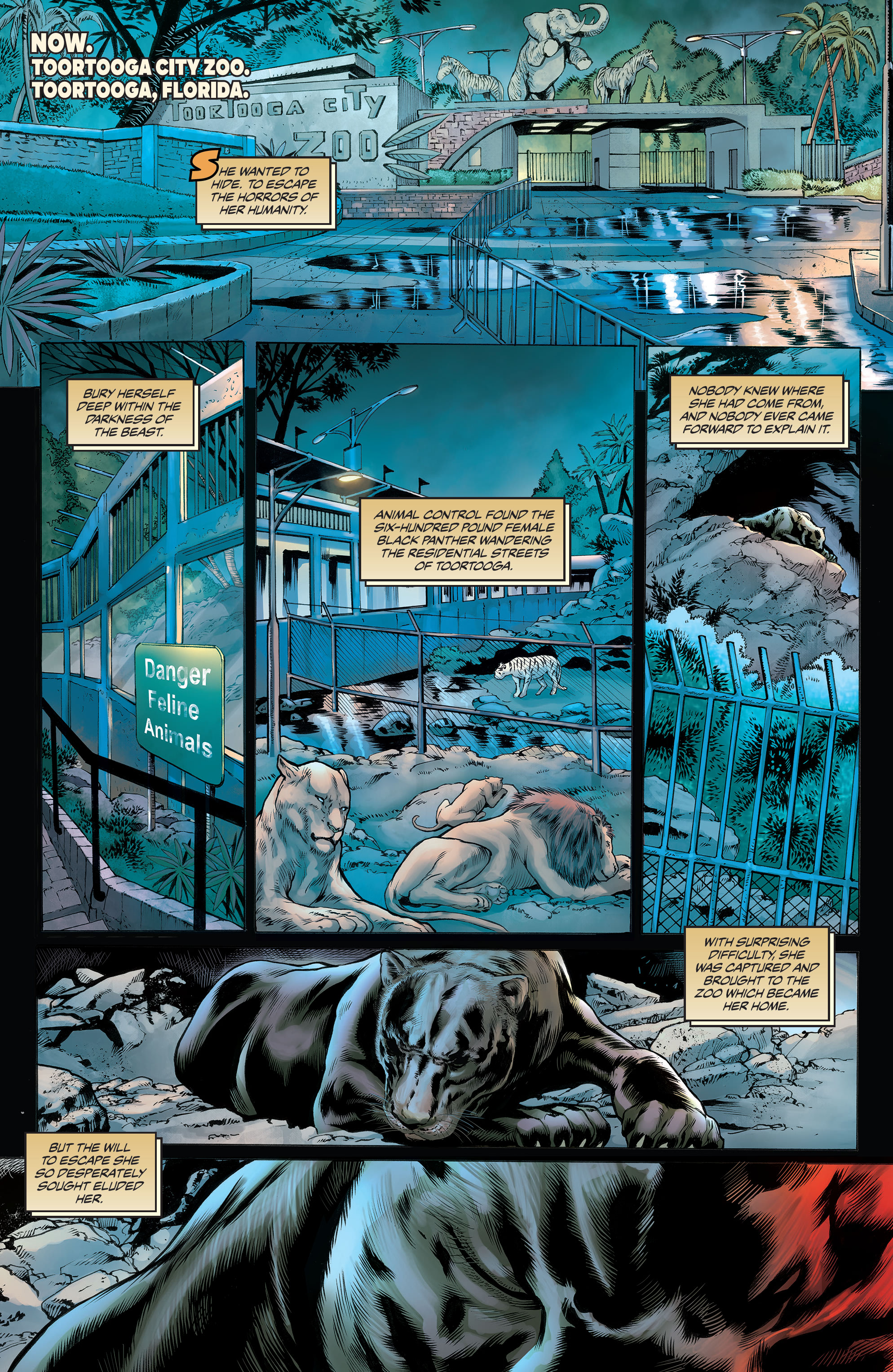 Pantha (2022-): Chapter 1 - Page 10