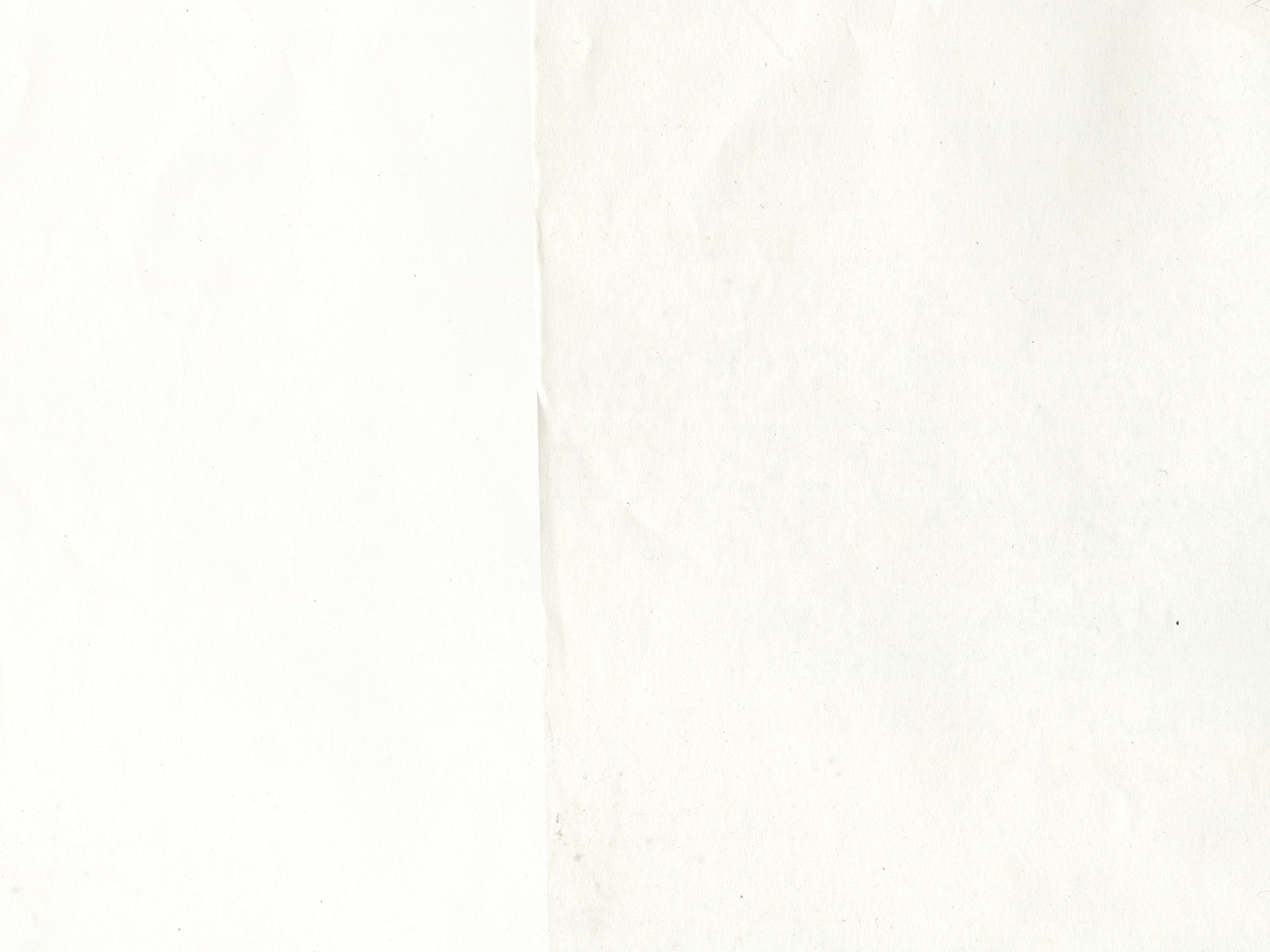 Pearl Jam: Art Of Do The Evolution (2020): Chapter 1 - Page 3
