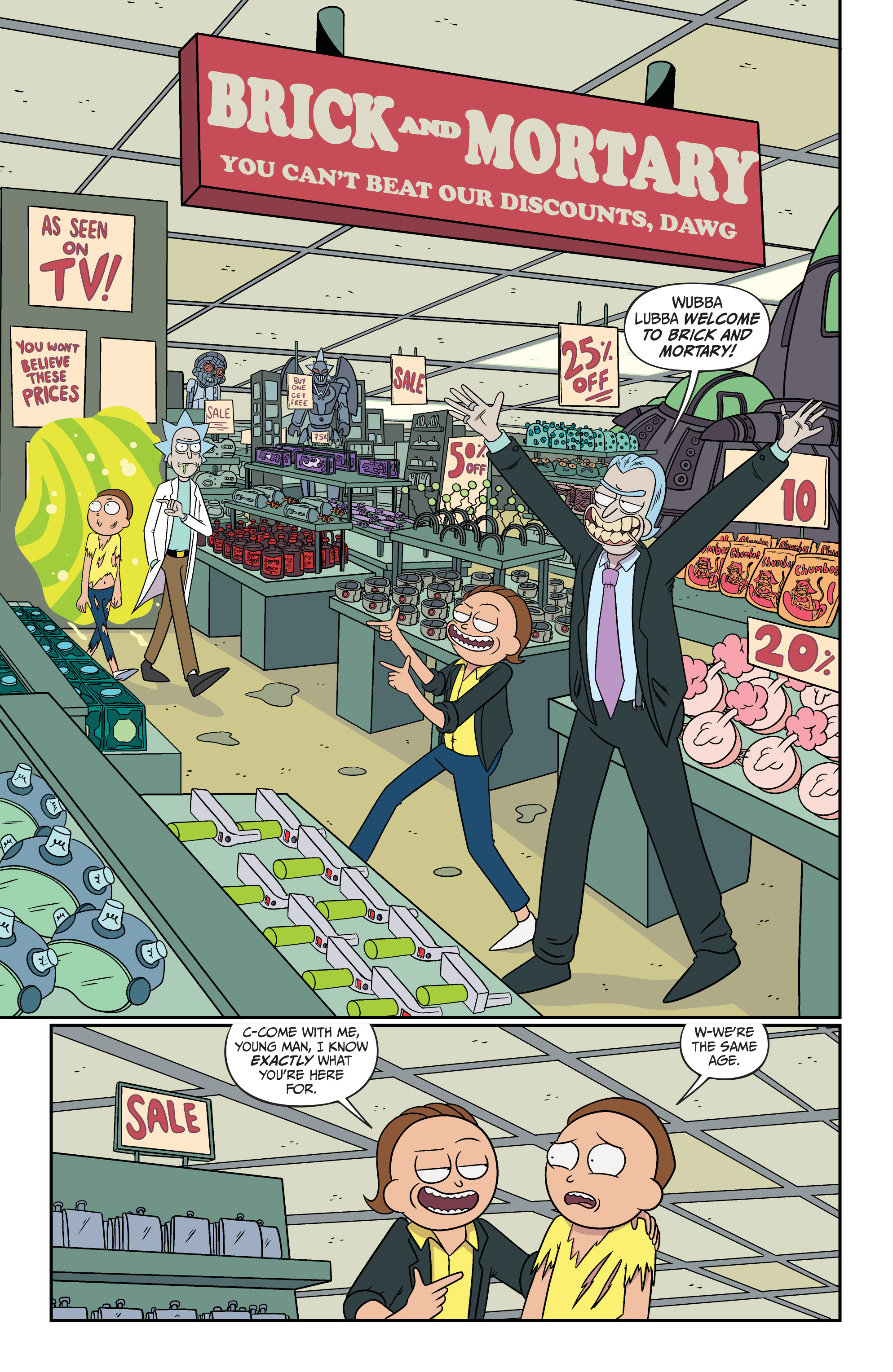 Rick and Morty (2015-): Chapter 56 - Page 10