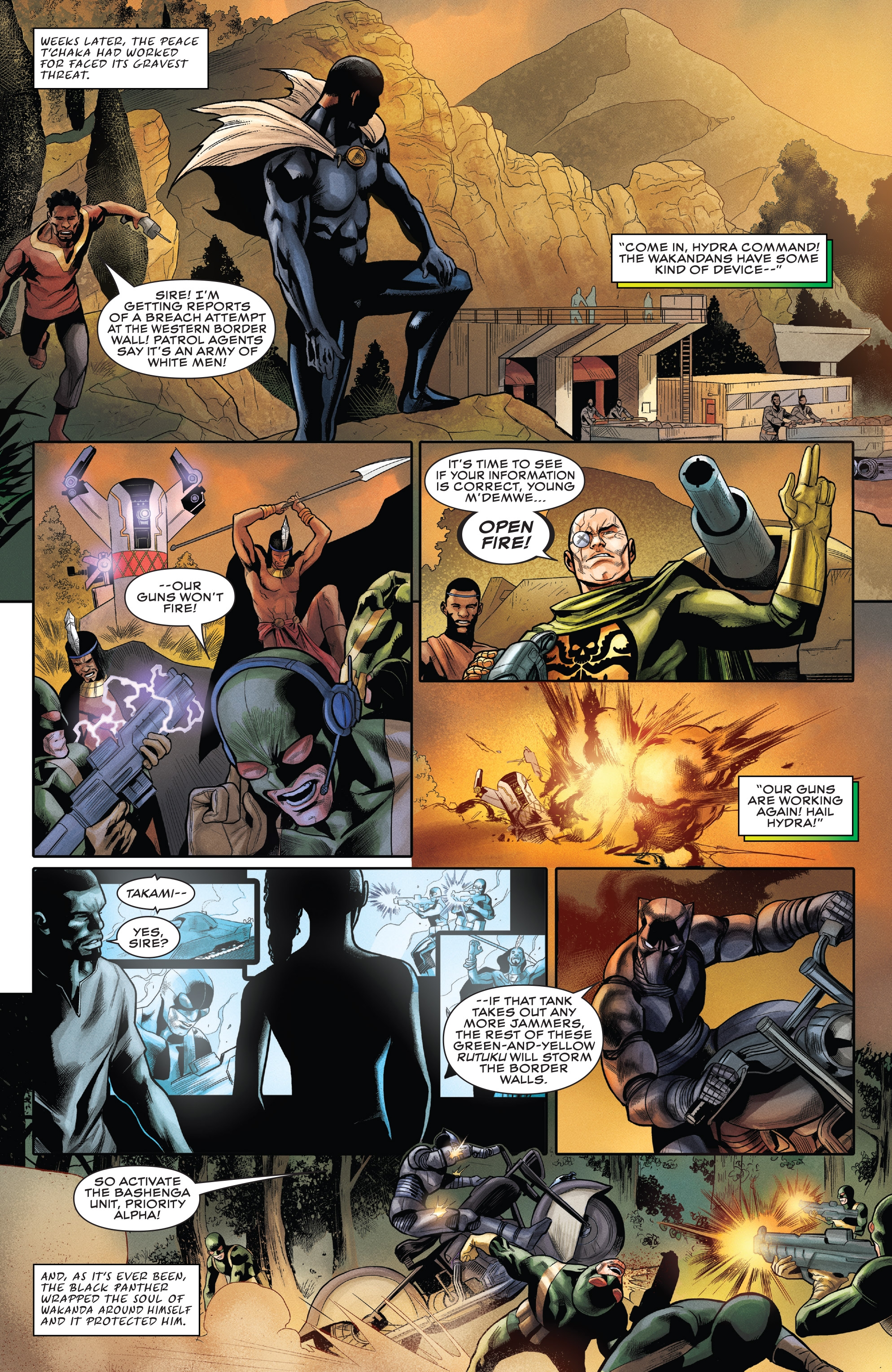 Rise of the Black Panther (2018): Chapter 1 - Page 14