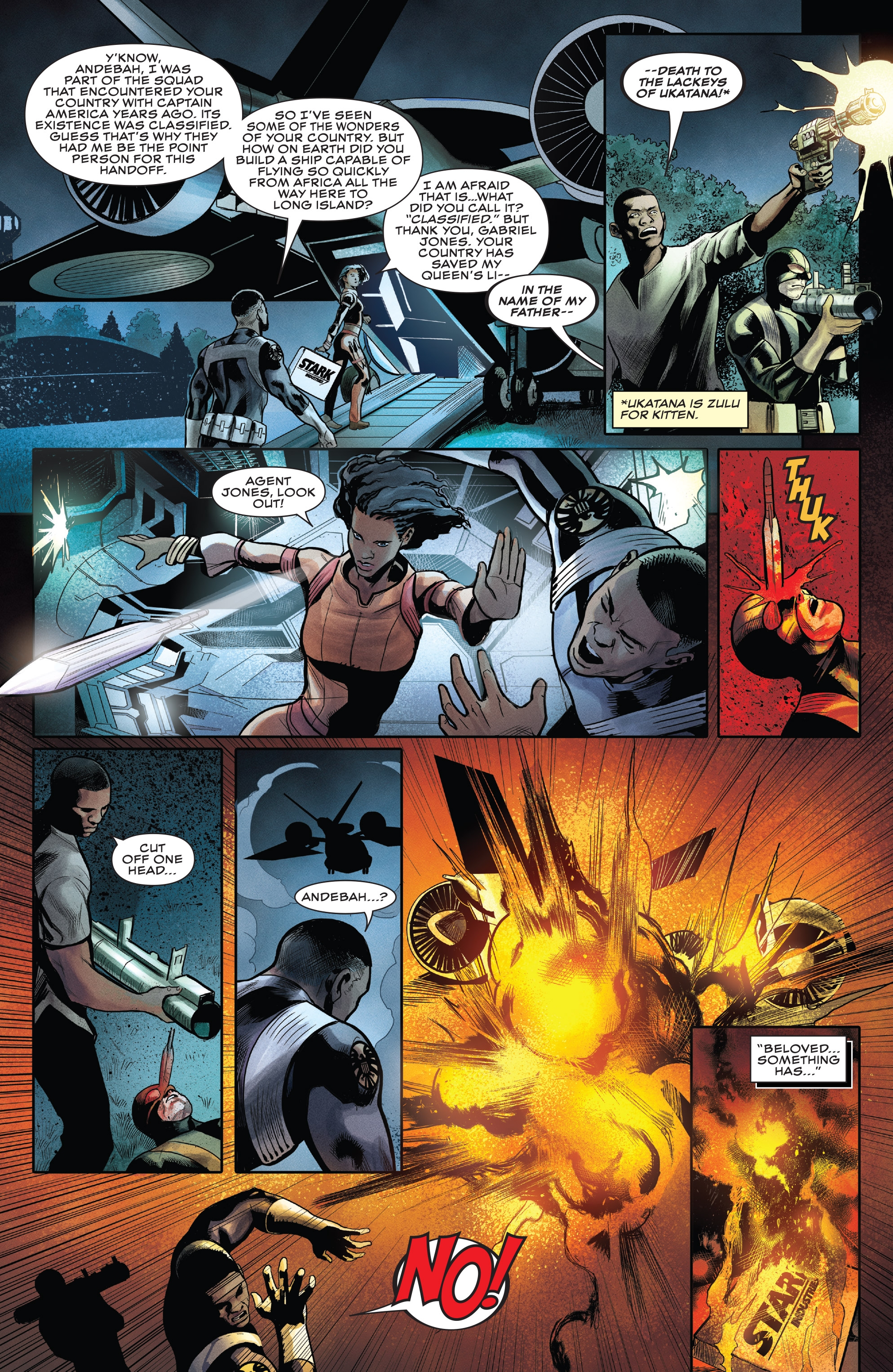 Rise of the Black Panther (2018): Chapter 1 - Page 18