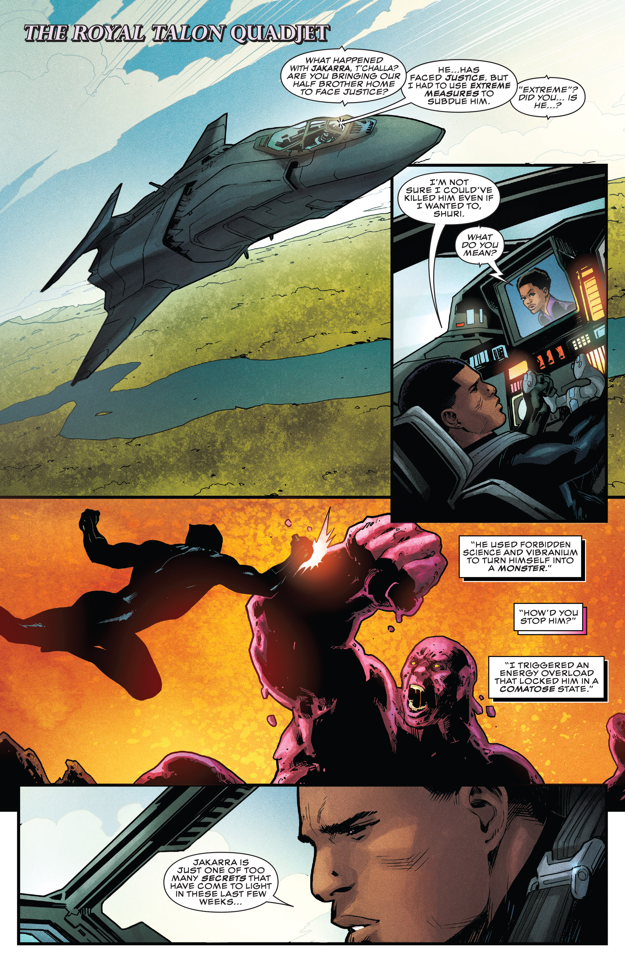 Rise of the Black Panther (2018): Chapter 6 - Page 4