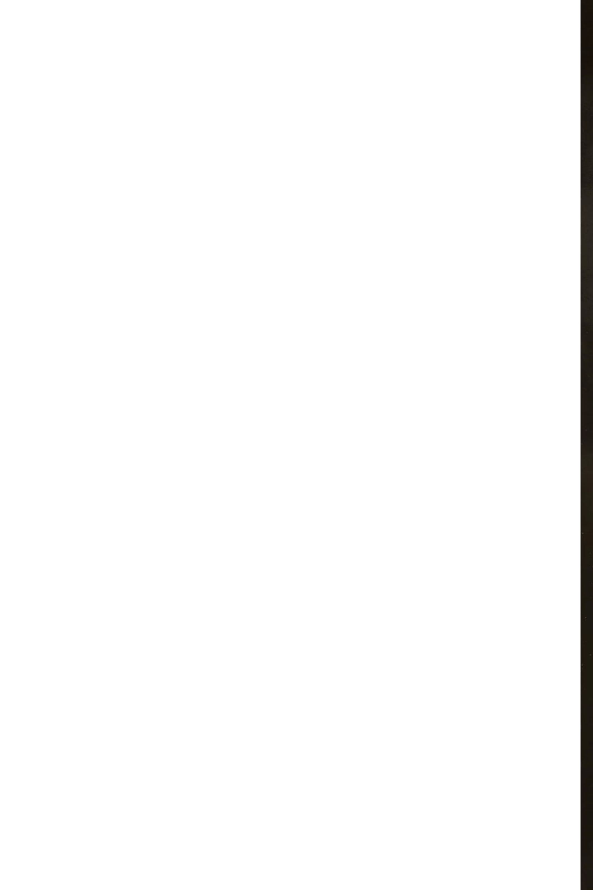 Scurry (2023): Chapter 1 - Page 2