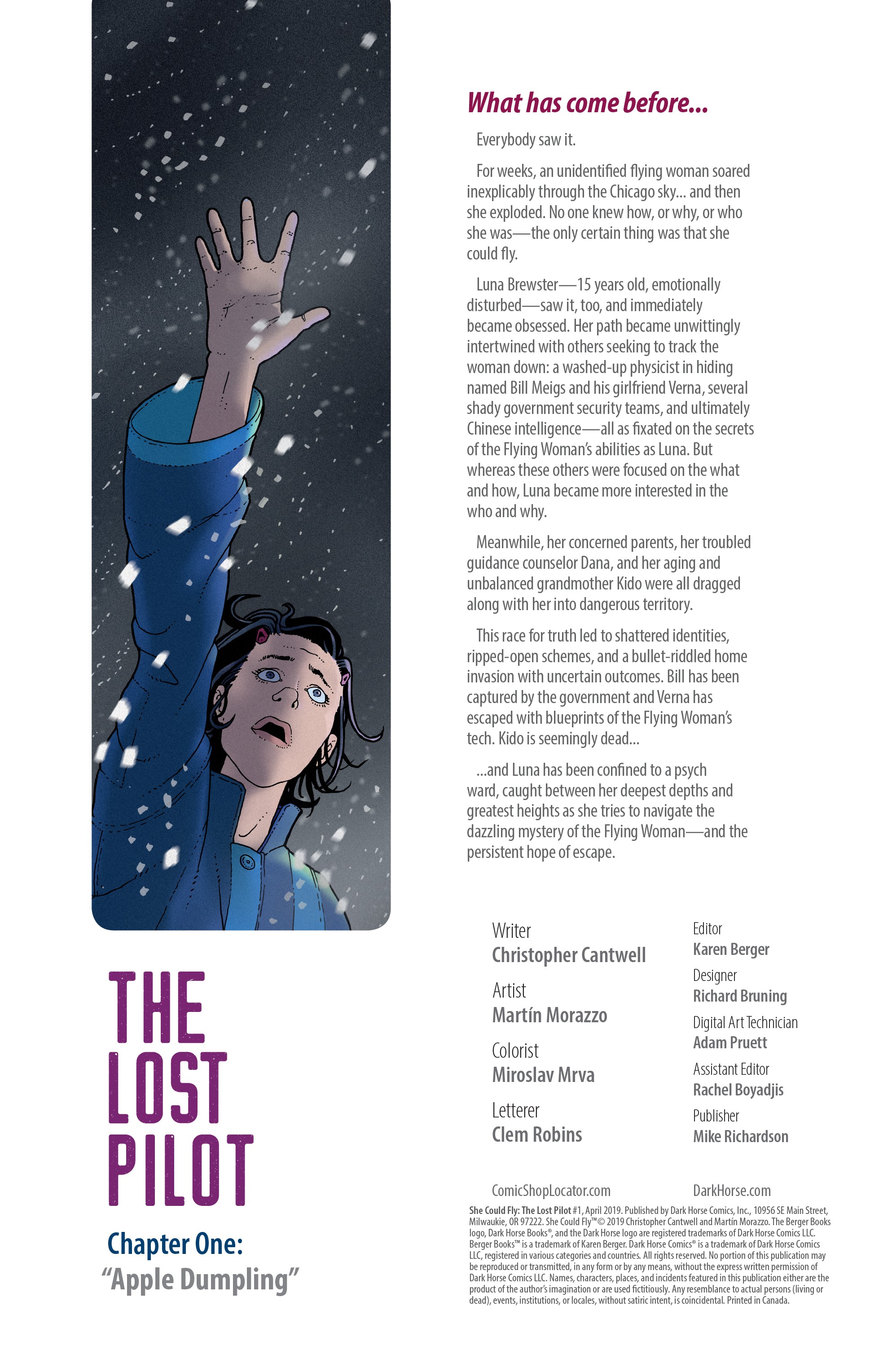 She Could Fly: The Lost Pilot (2019-): Chapter 1 - Page 2