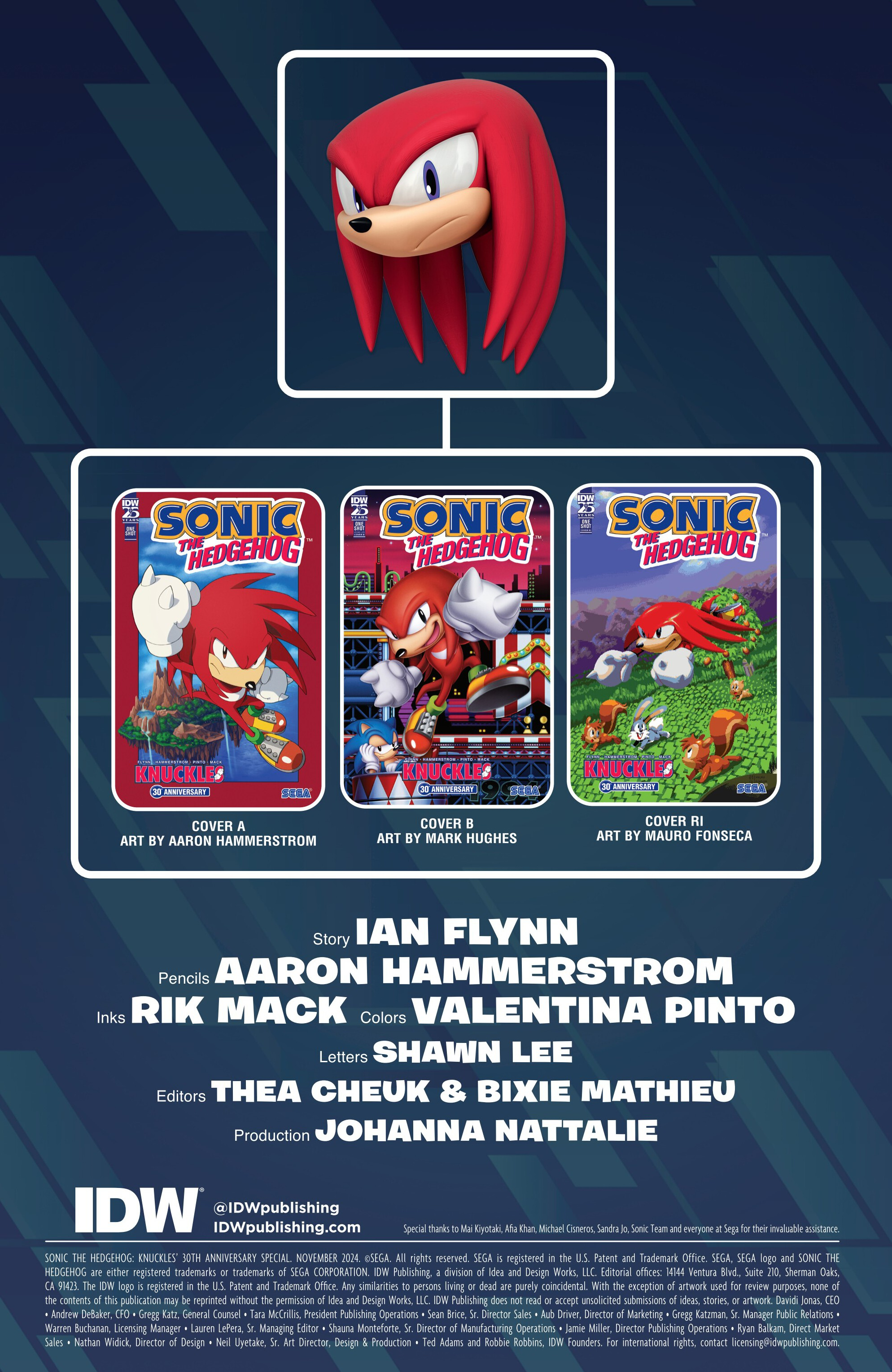Sonic the Hedgehog: Knuckles' 30th Anniversary Special (2024-): Chapter 1 - Page 2