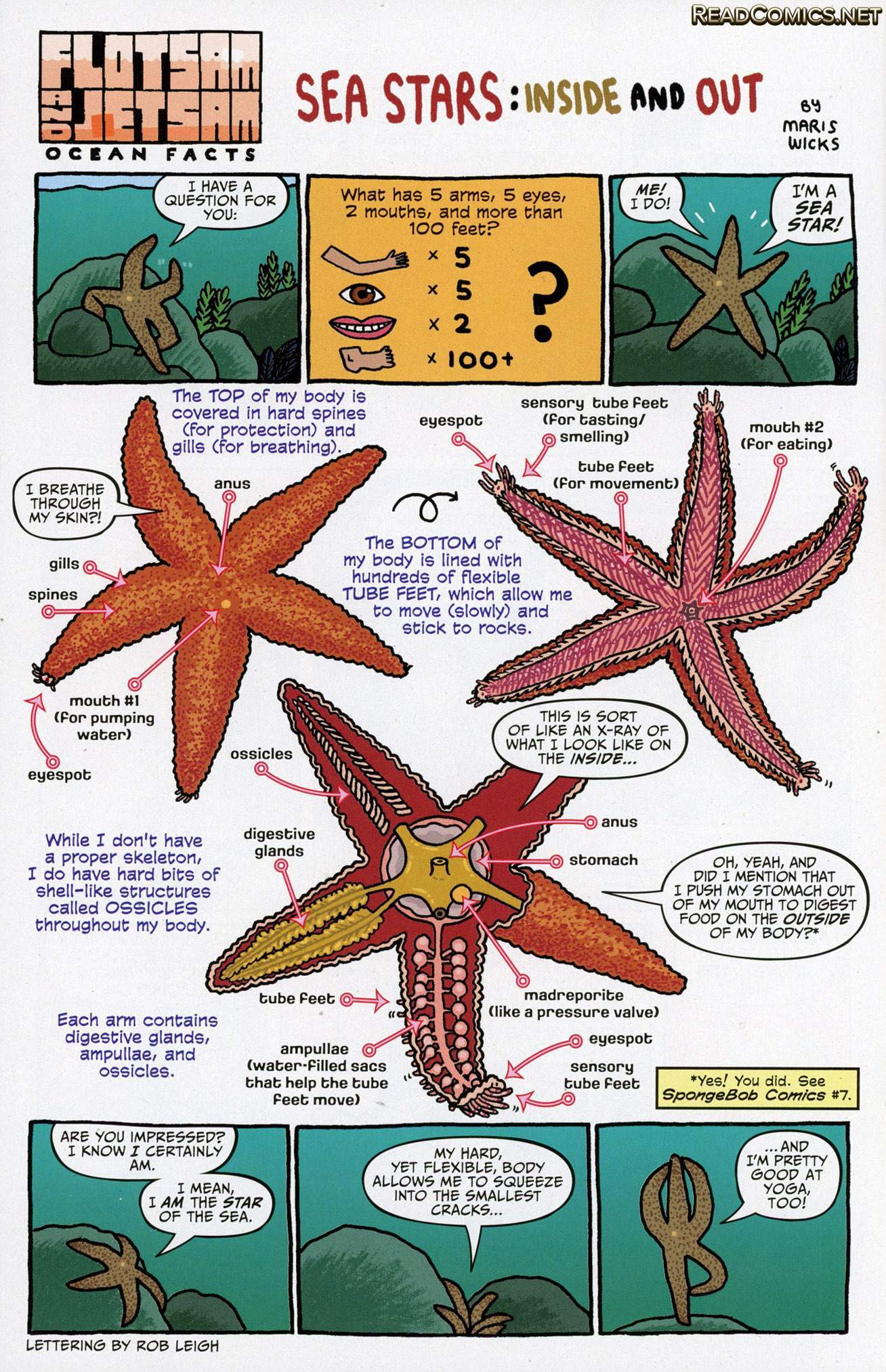 SpongeBob Comics (2011-): Chapter 45 - Page 18