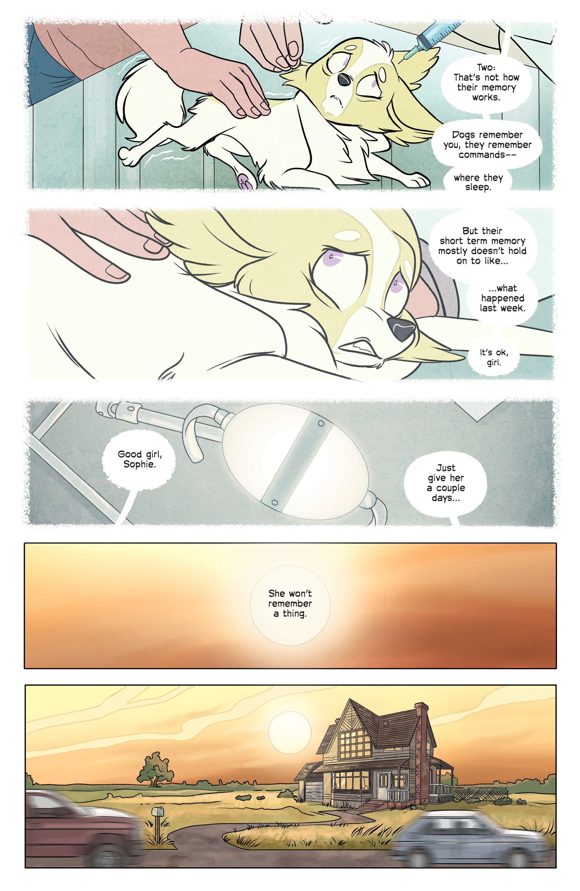 Stray Dogs (2021-): Chapter 1 - Page 5