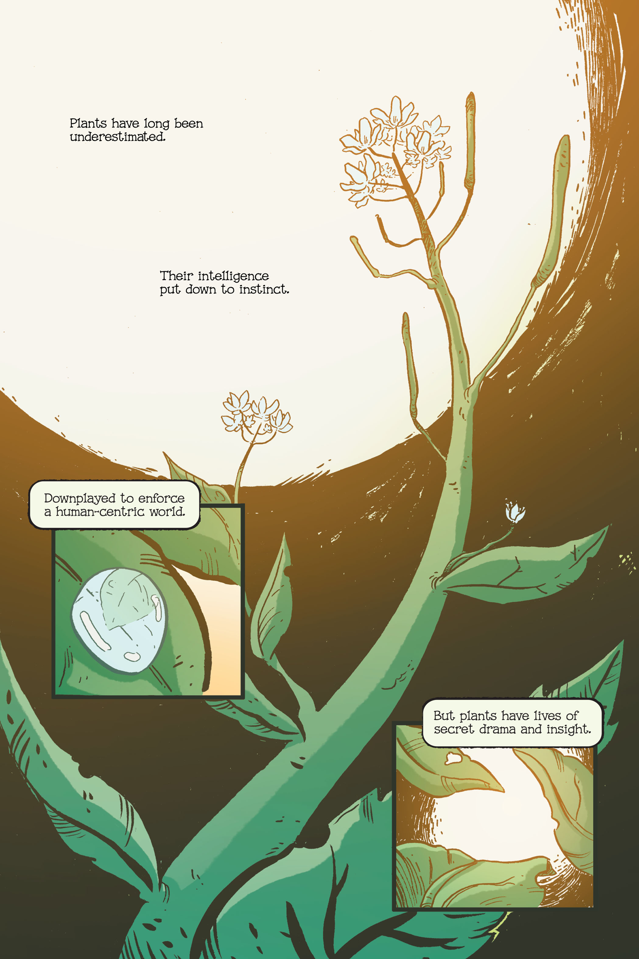 Swamp Thing: Twin Branches (2020): Chapter 1 - Page 6