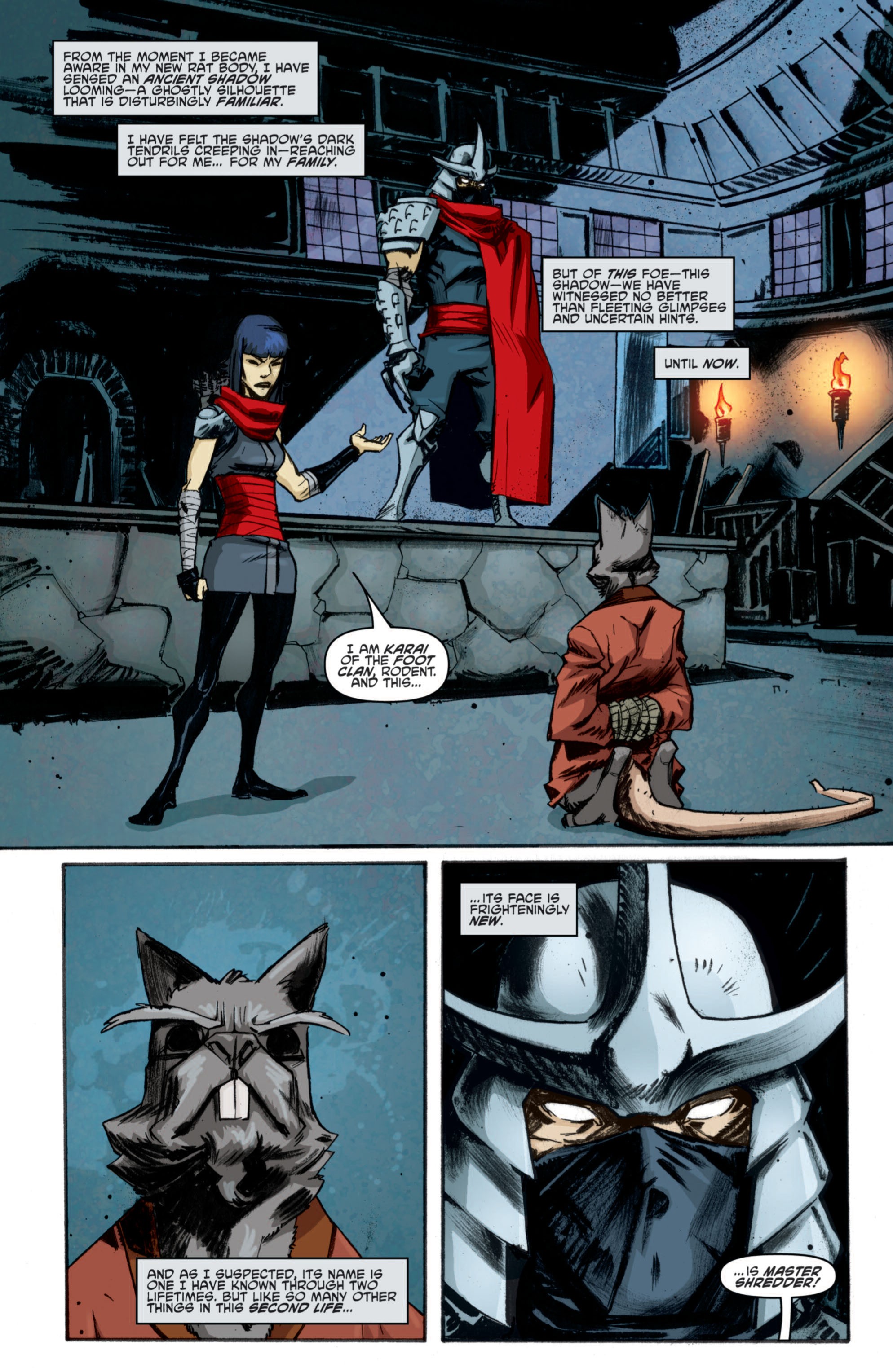 Teenage Mutant Ninja Turtles (2011-): Chapter 10 - Page 5