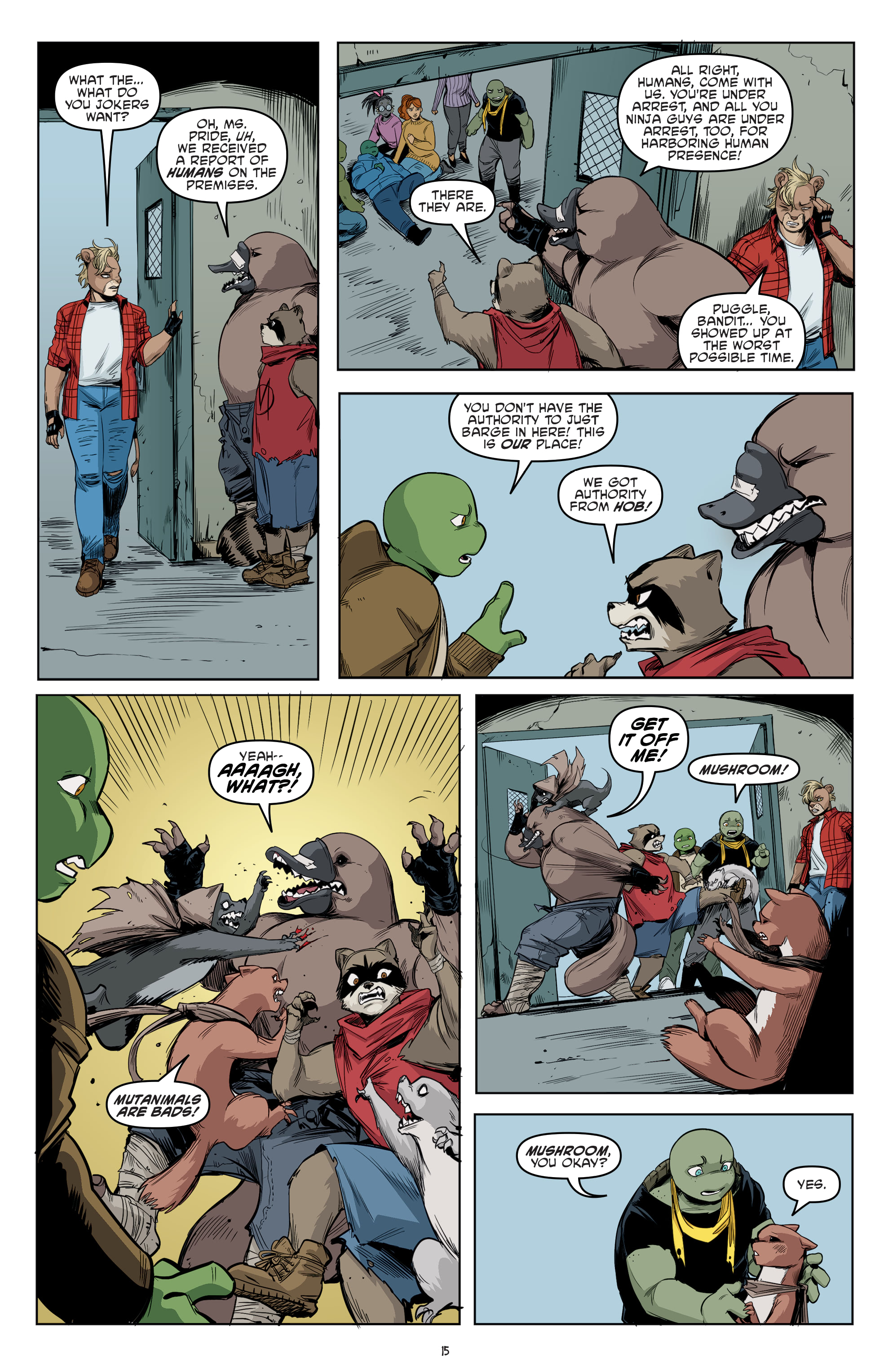 Teenage Mutant Ninja Turtles (2011-): Chapter 112 - Page 17