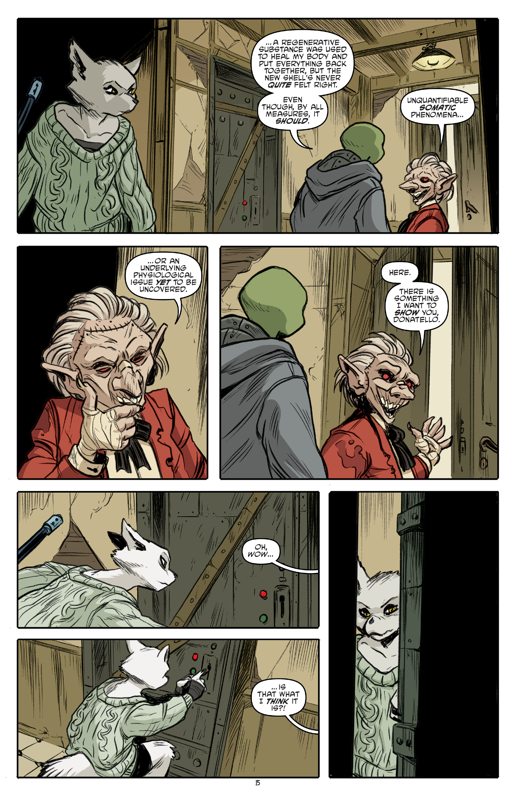 Teenage Mutant Ninja Turtles (2011-): Chapter 127 - Page 17