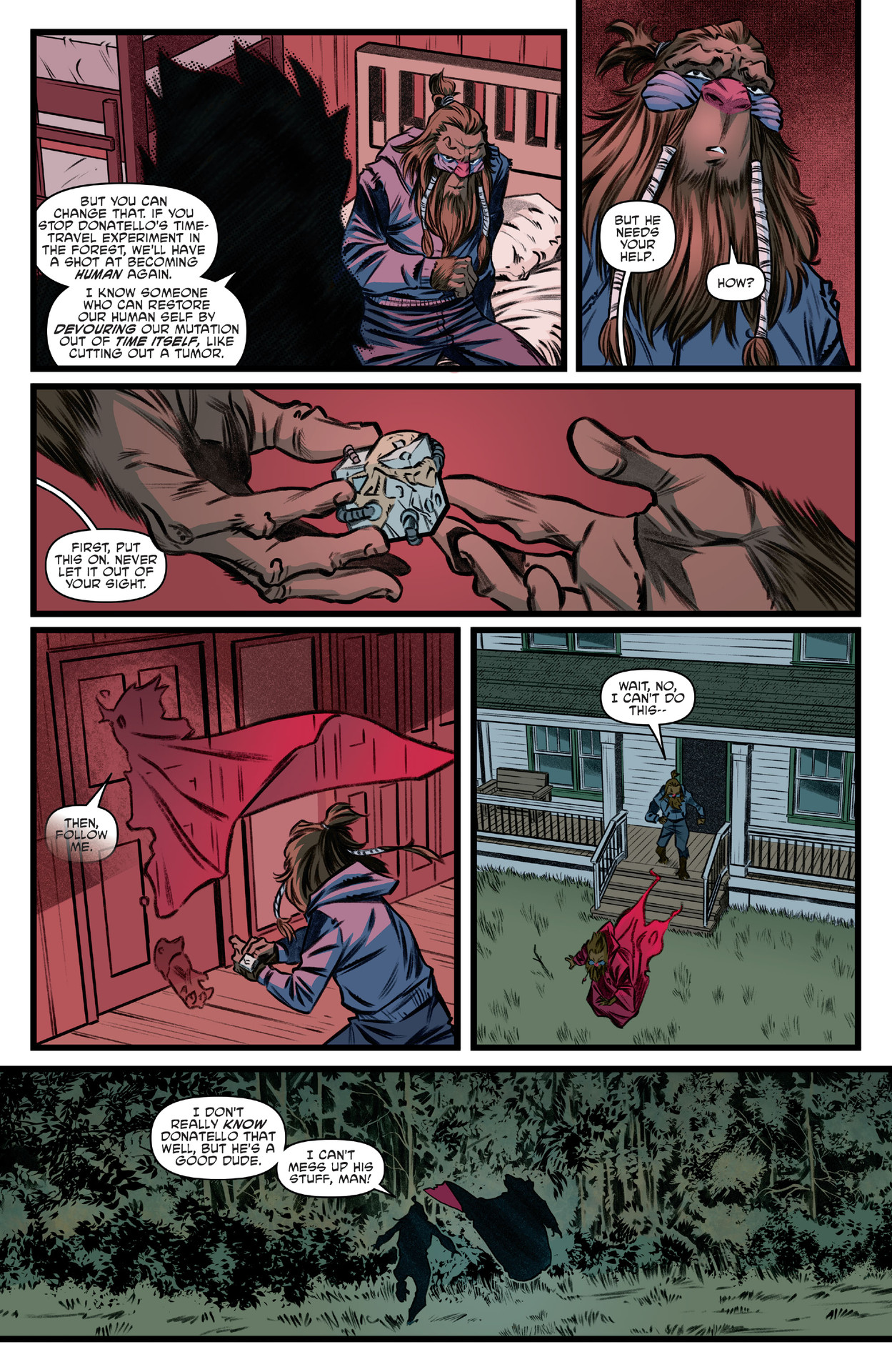 Teenage Mutant Ninja Turtles (2011-): Chapter 145 - Page 9