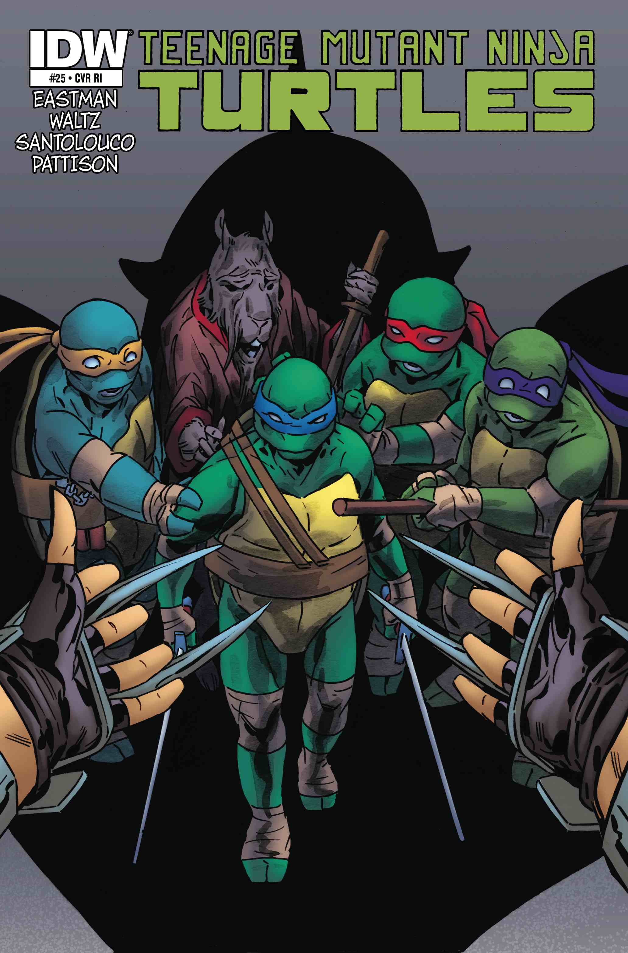 Teenage Mutant Ninja Turtles (2011-): Chapter 25 - Page 3