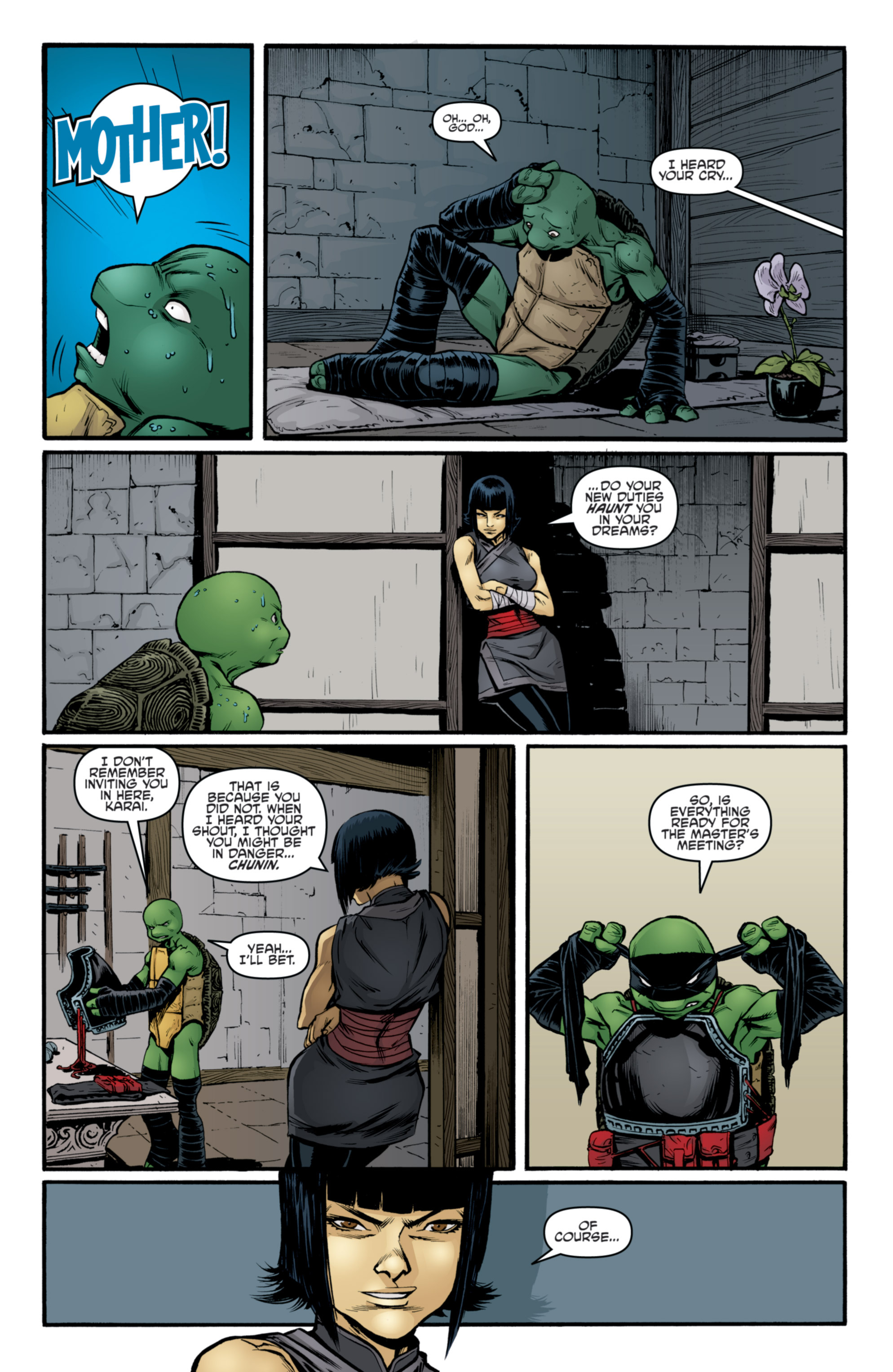 Teenage Mutant Ninja Turtles (2011-): Chapter 27 - Page 15