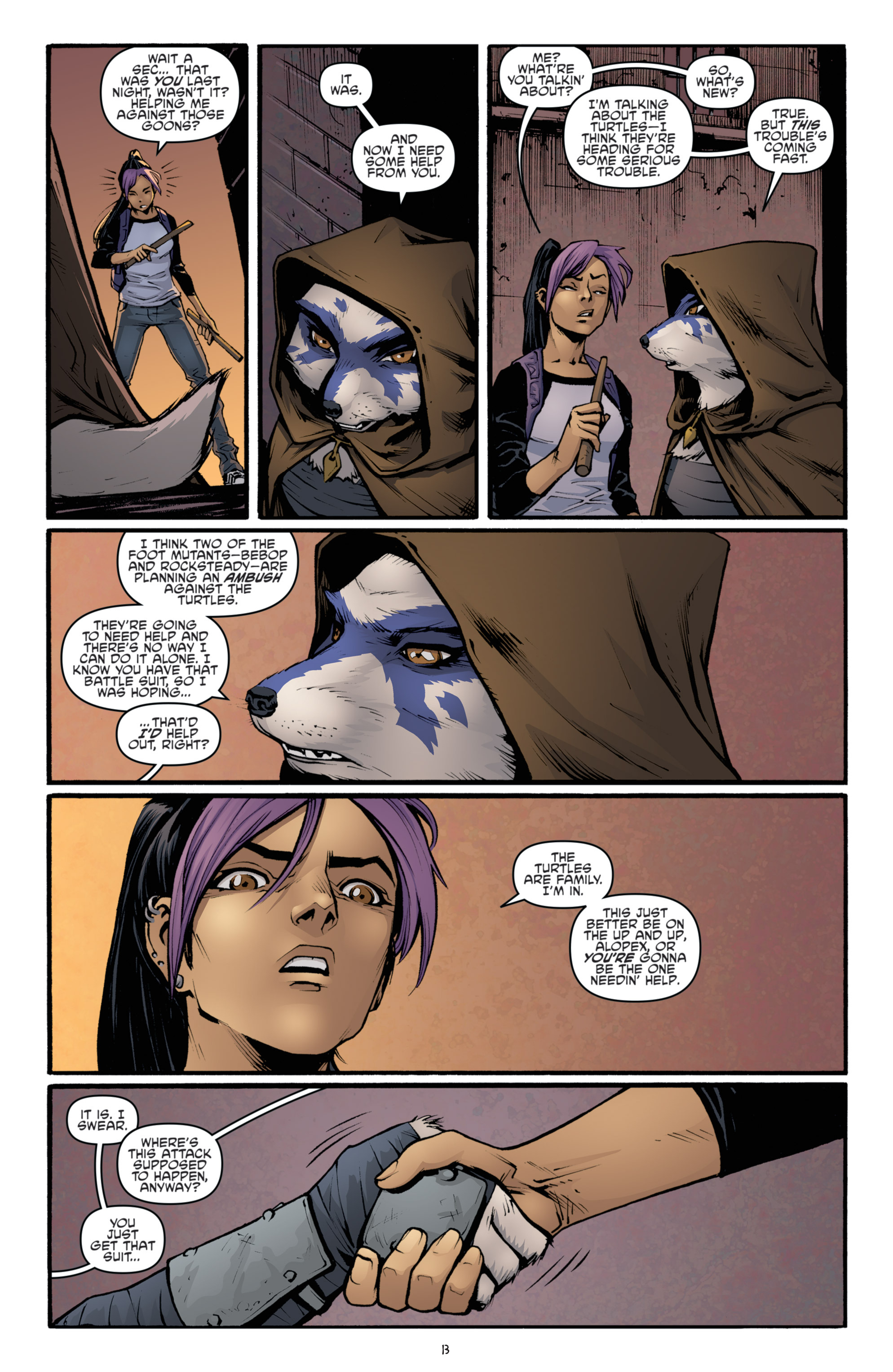 Teenage Mutant Ninja Turtles (2011-): Chapter 39 - Page 15