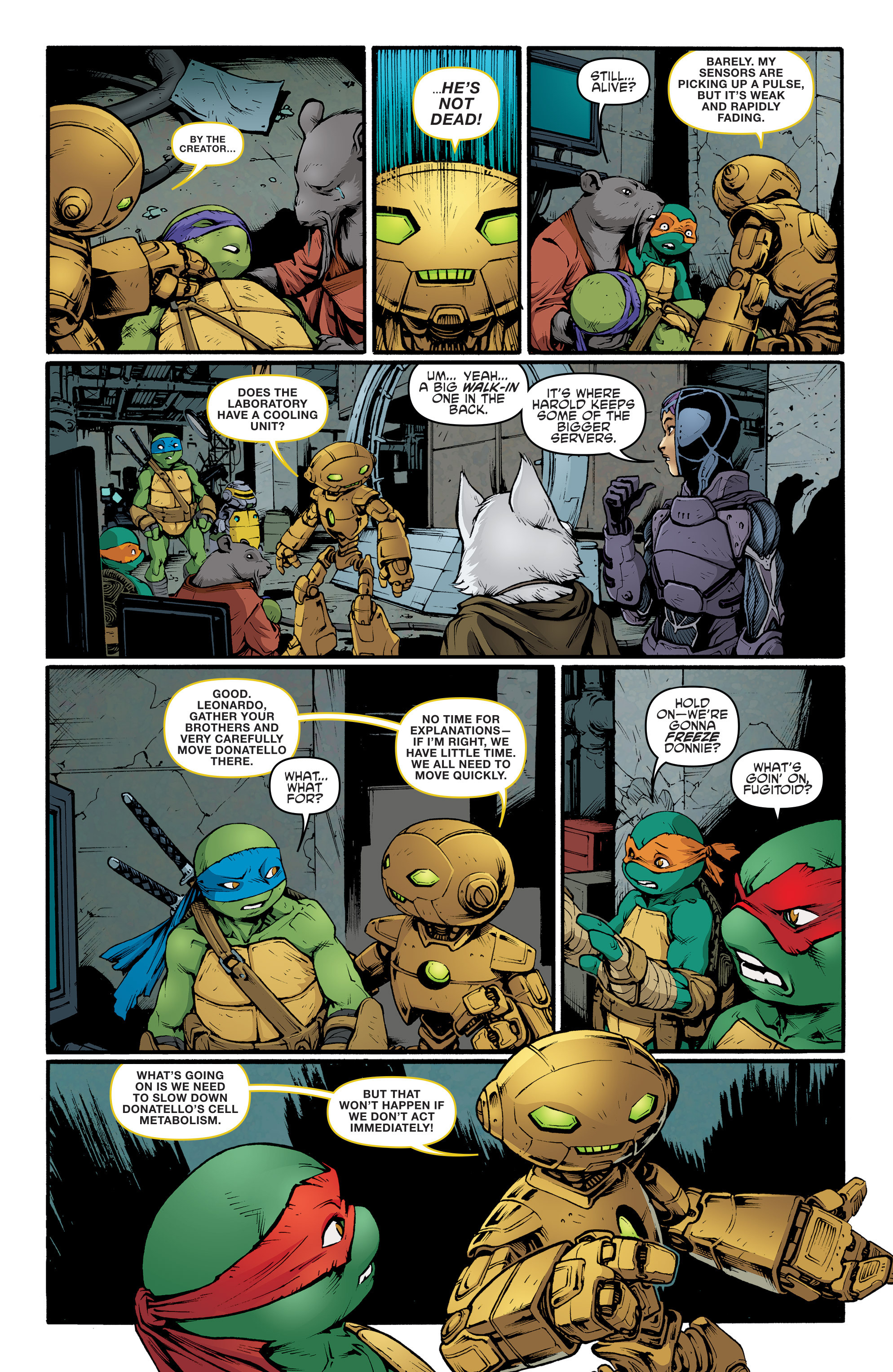 Teenage Mutant Ninja Turtles (2011-): Chapter 45 - Page 7