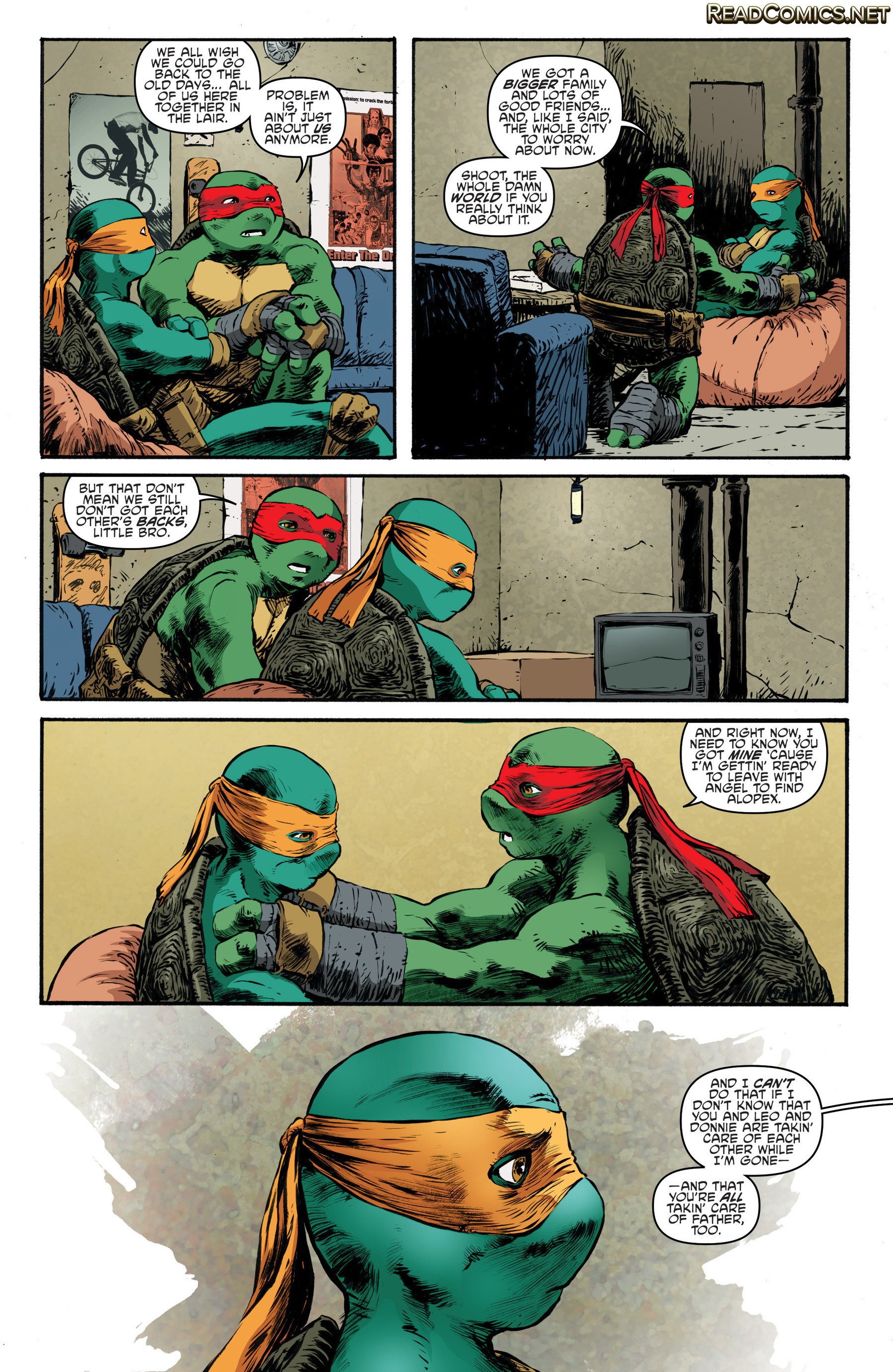 Teenage Mutant Ninja Turtles (2011-): Chapter 62 - Page 11