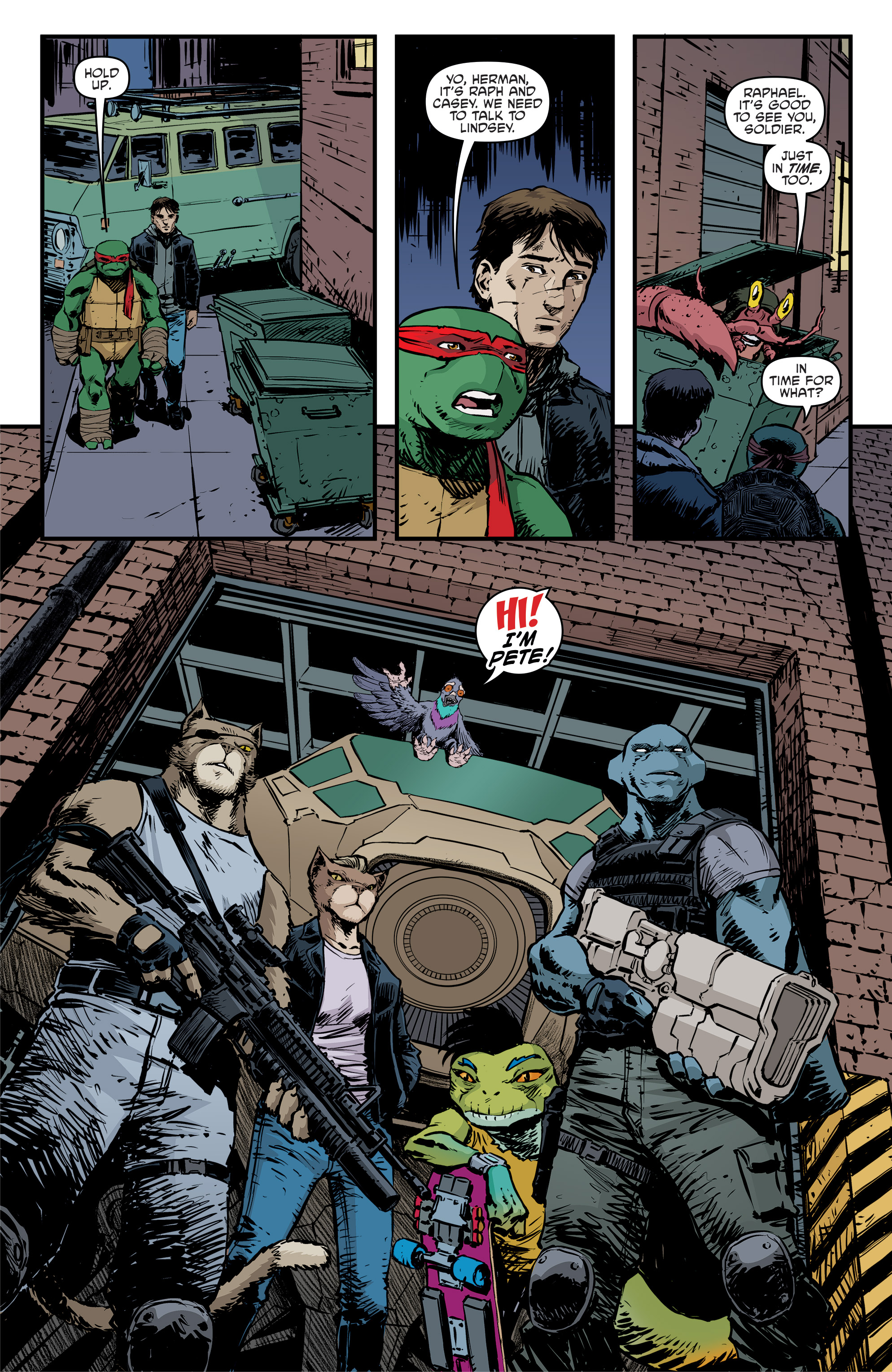 Teenage Mutant Ninja Turtles (2011-): Chapter 94 - Page 12