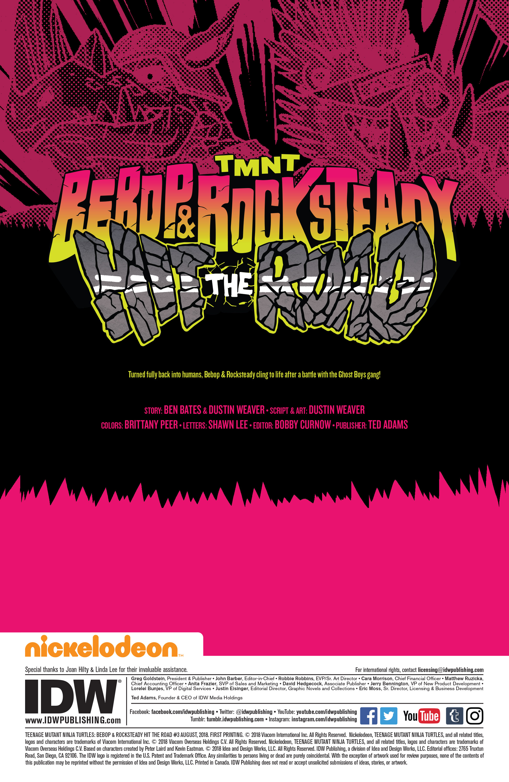 Teenage Mutant Ninja Turtles: Bebop & Rocksteady Hit the Road! (2018-): Chapter 3 - Page 2