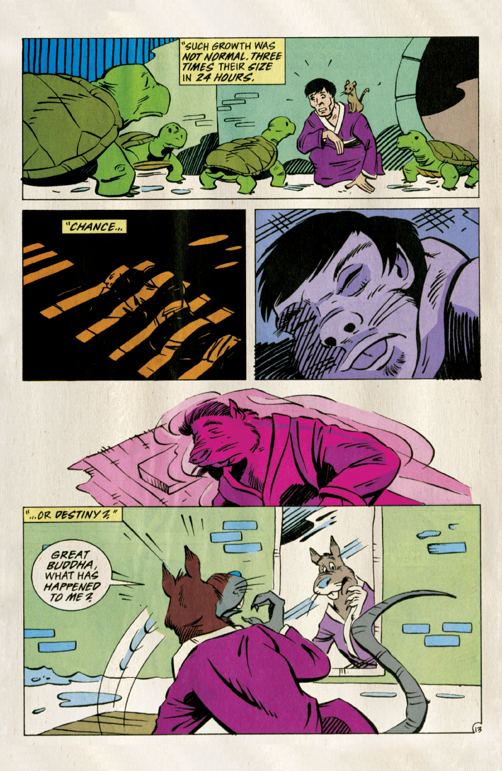 Teenage Mutant Ninja Turtles: Best of Splinter (2021): Chapter 1 - Page 15