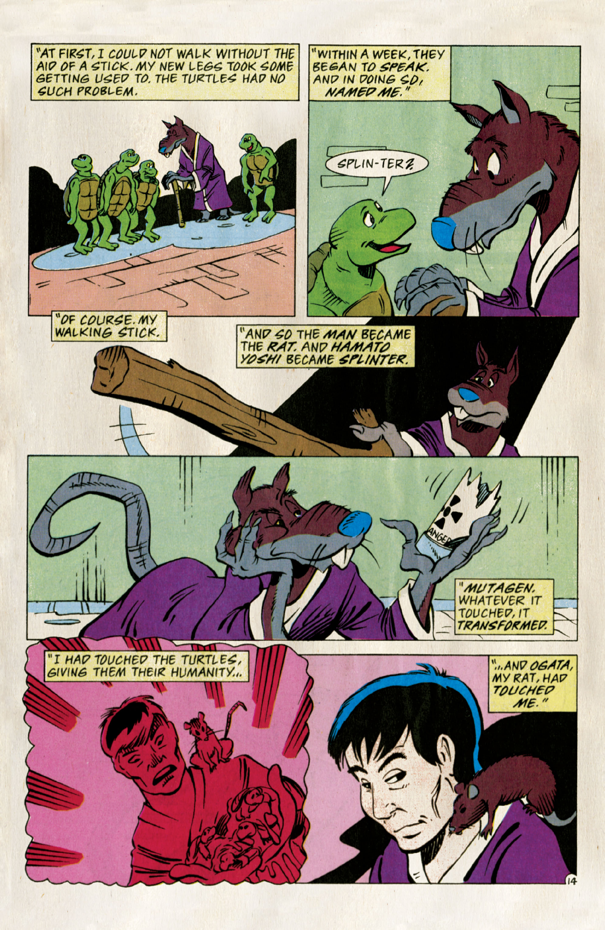 Teenage Mutant Ninja Turtles: Best of Splinter (2021): Chapter 1 - Page 16