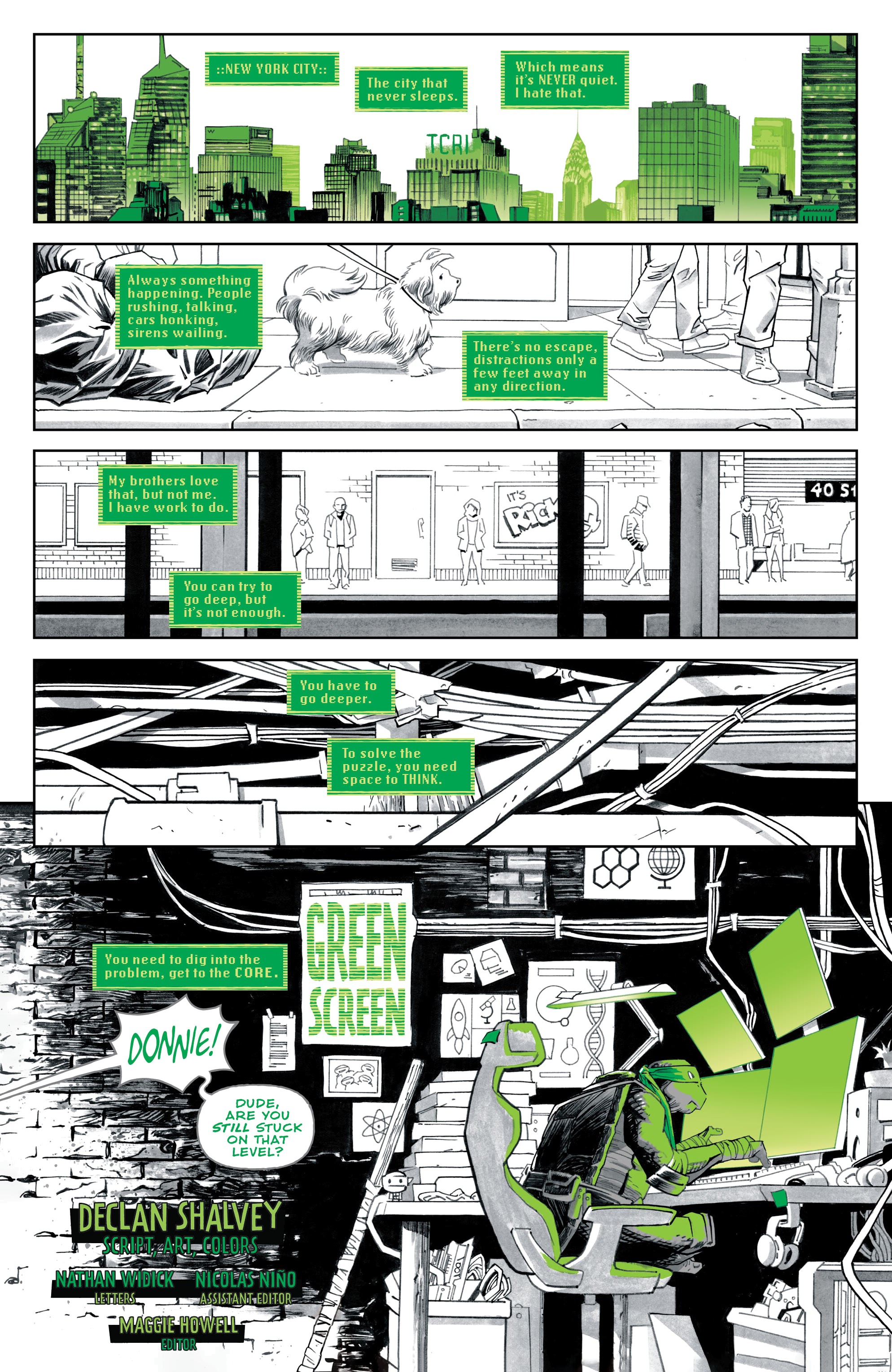 Teenage Mutant Ninja Turtles: Black, White, & Green (2024-): Chapter 1 - Page 3