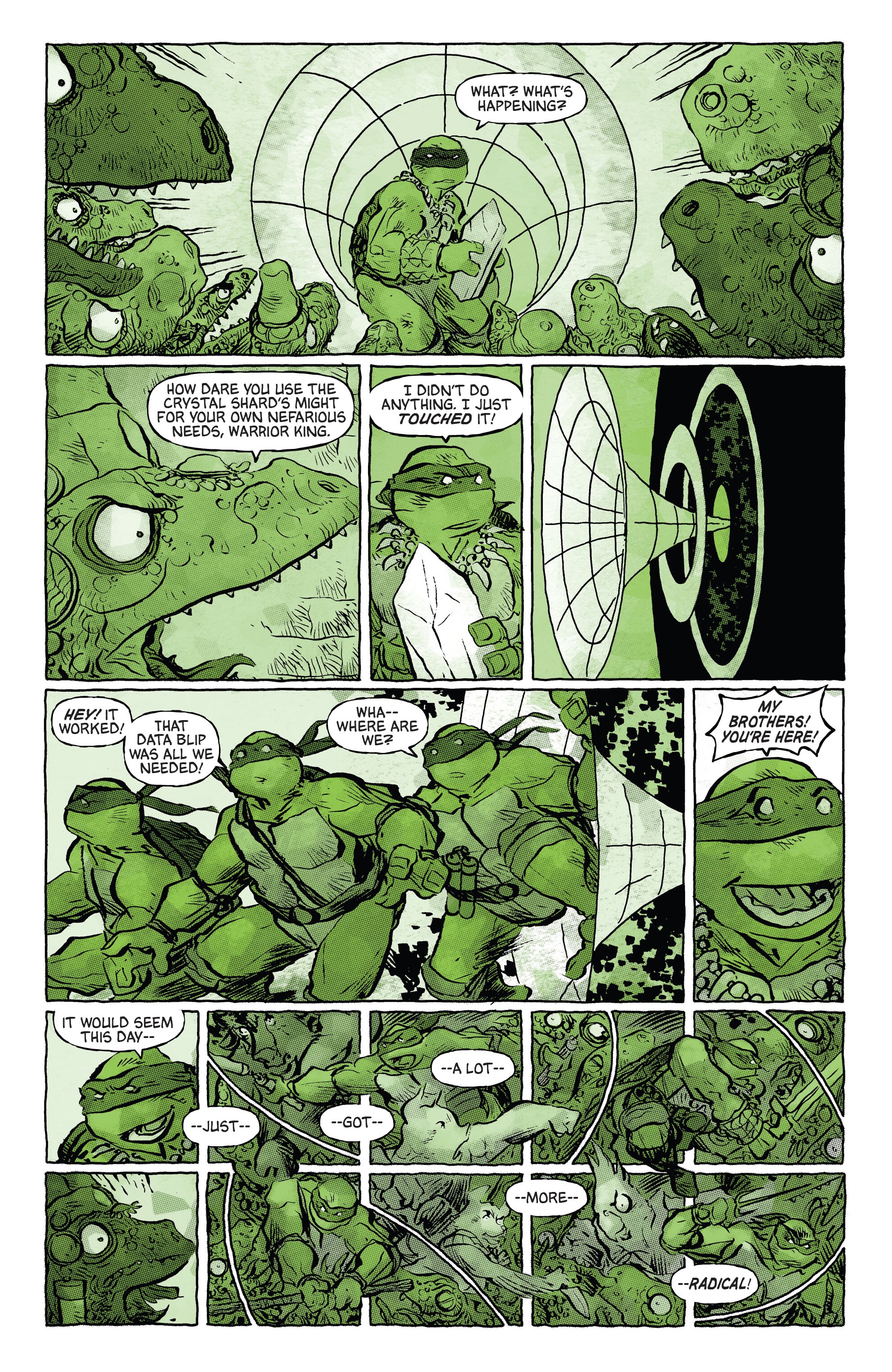 Teenage Mutant Ninja Turtles: Black, White, & Green (2024-): Chapter 1 - Page 17