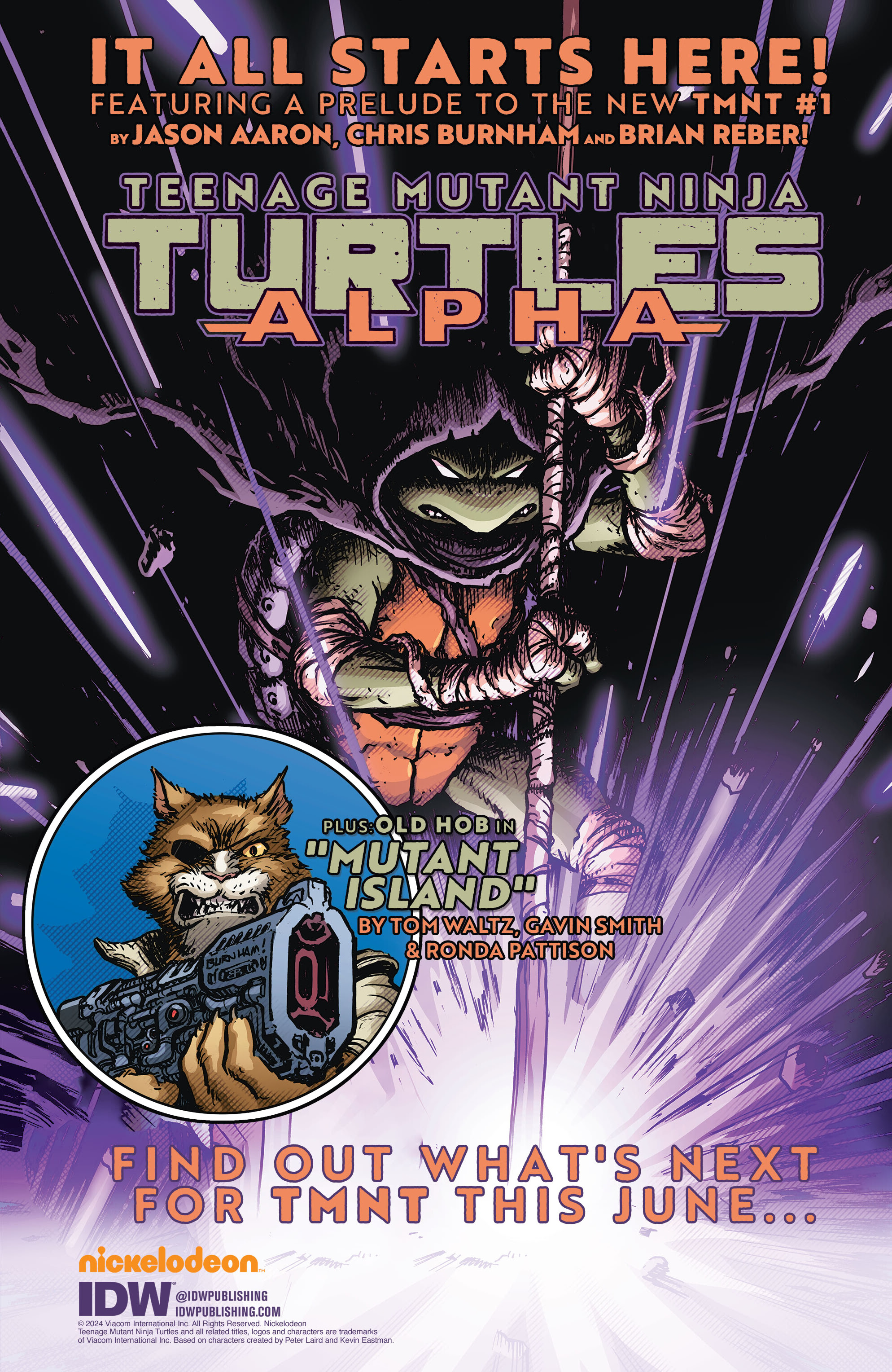 Teenage Mutant Ninja Turtles: Black, White, & Green (2024-): Chapter 1 - Page 37