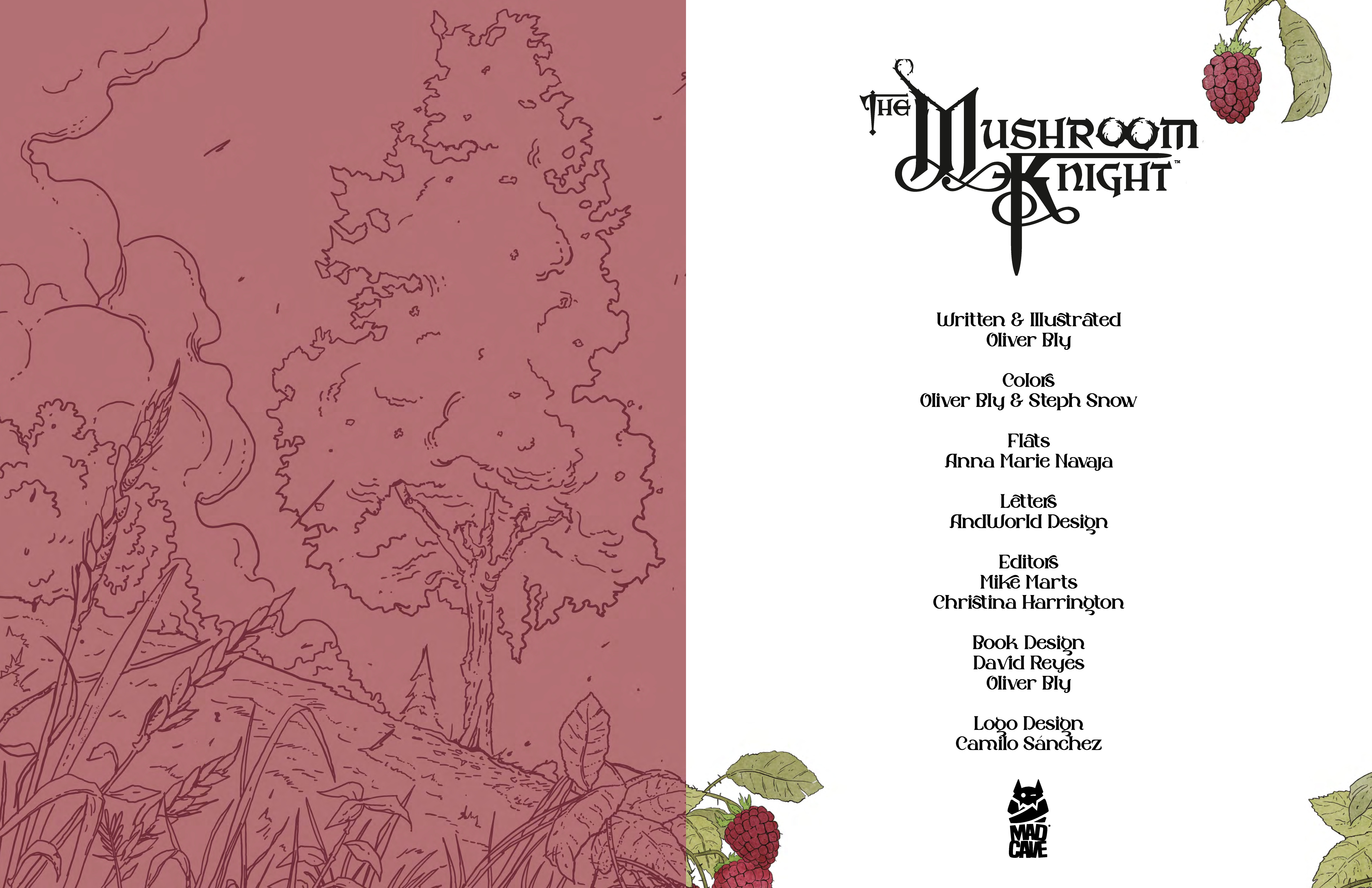 The Mushroom Knight (2024-): Chapter 1 - Page 3