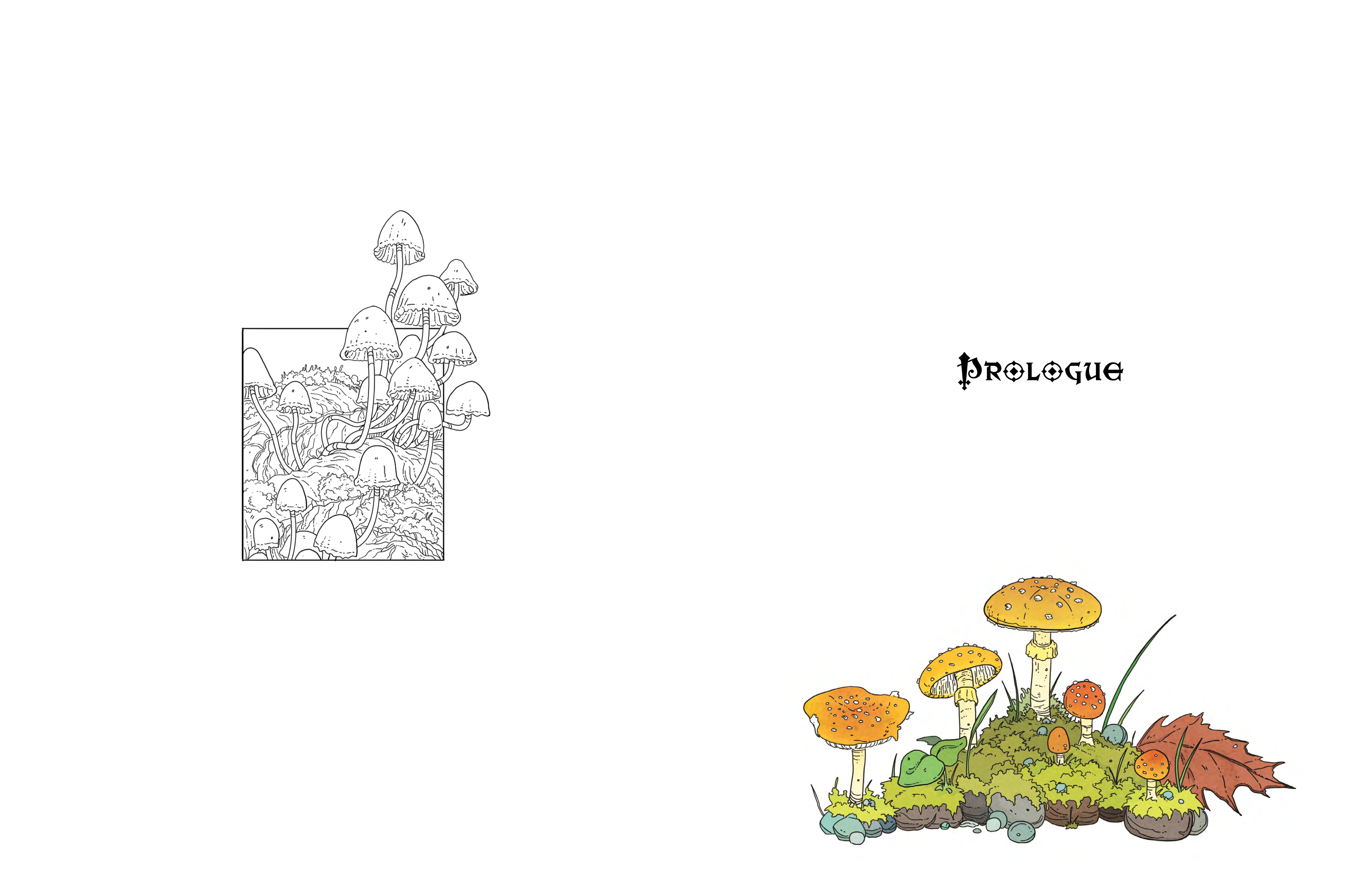 The Mushroom Knight (2024-): Chapter 1 - Page 5