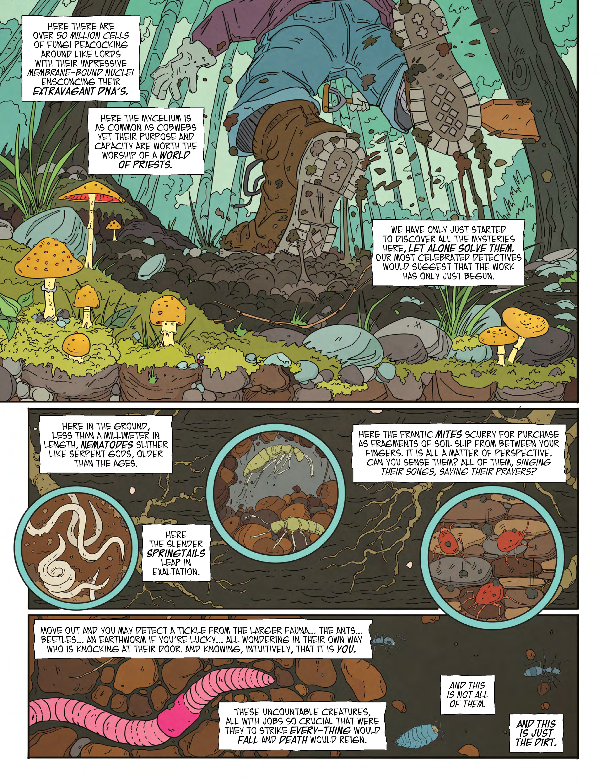 The Mushroom Knight (2024-): Chapter 1 - Page 8